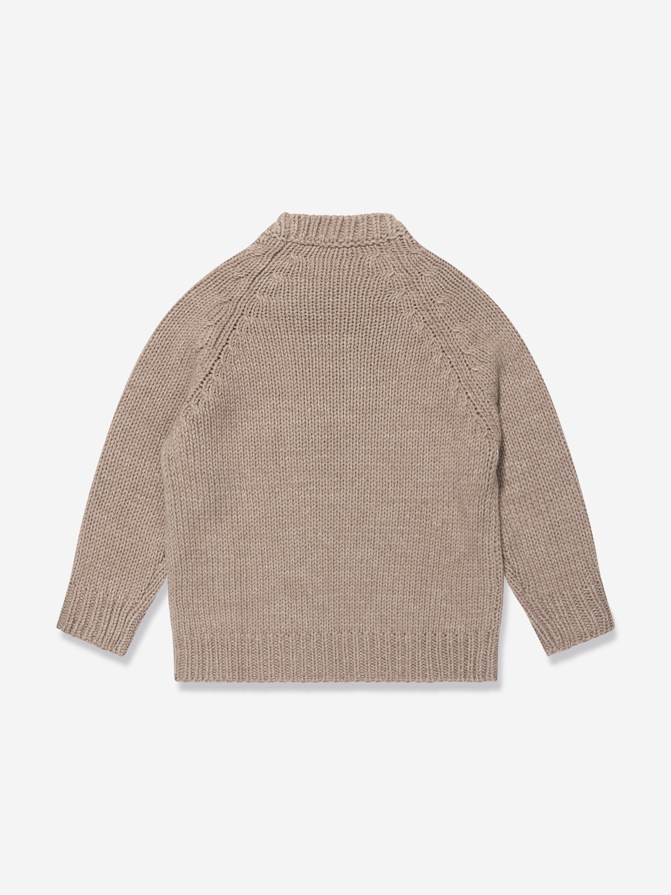 Emporio Armani Boys Wool Knitted Jumper in Brown