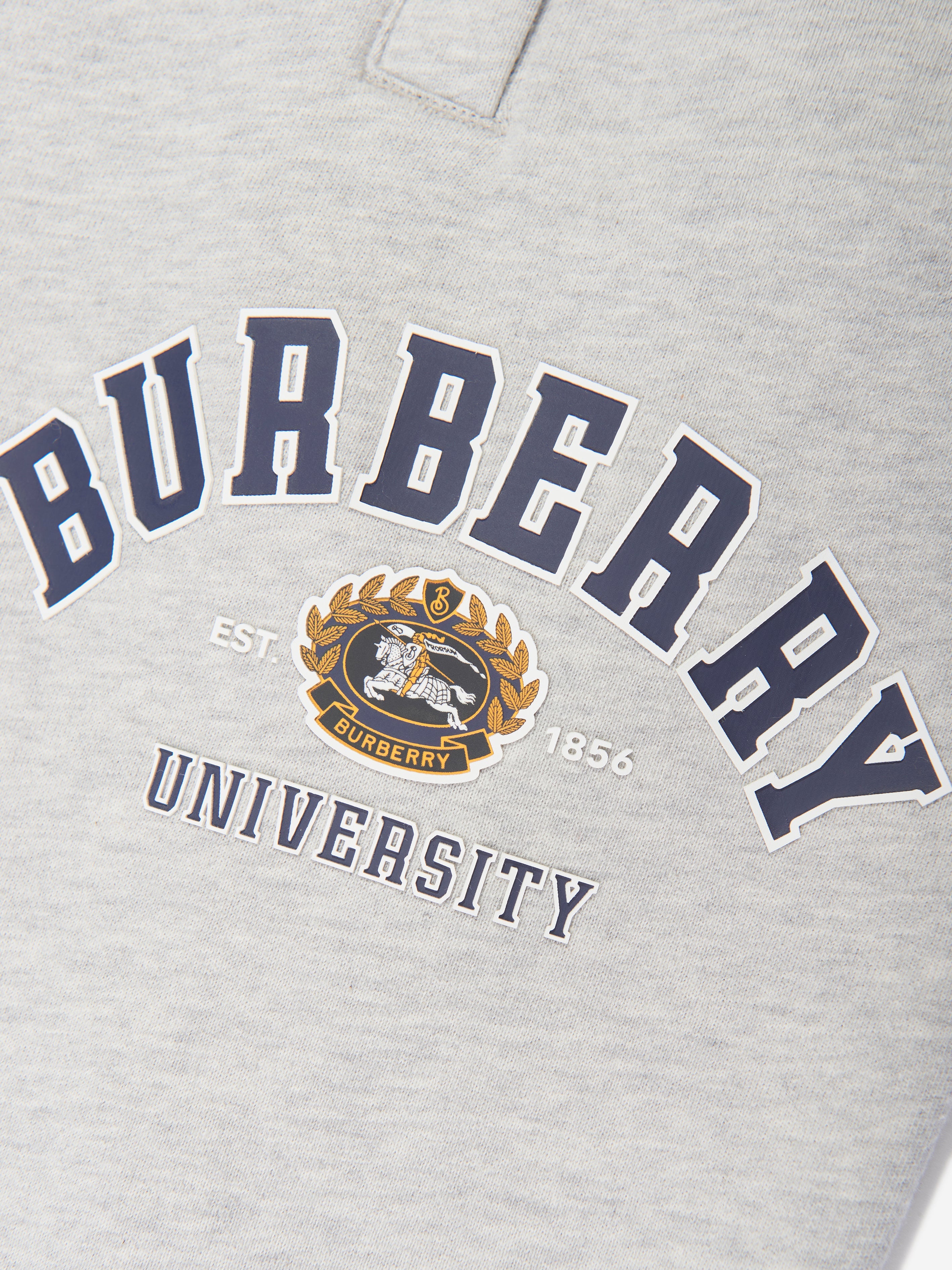 Kids Bonny Varsity Joggers in Grey