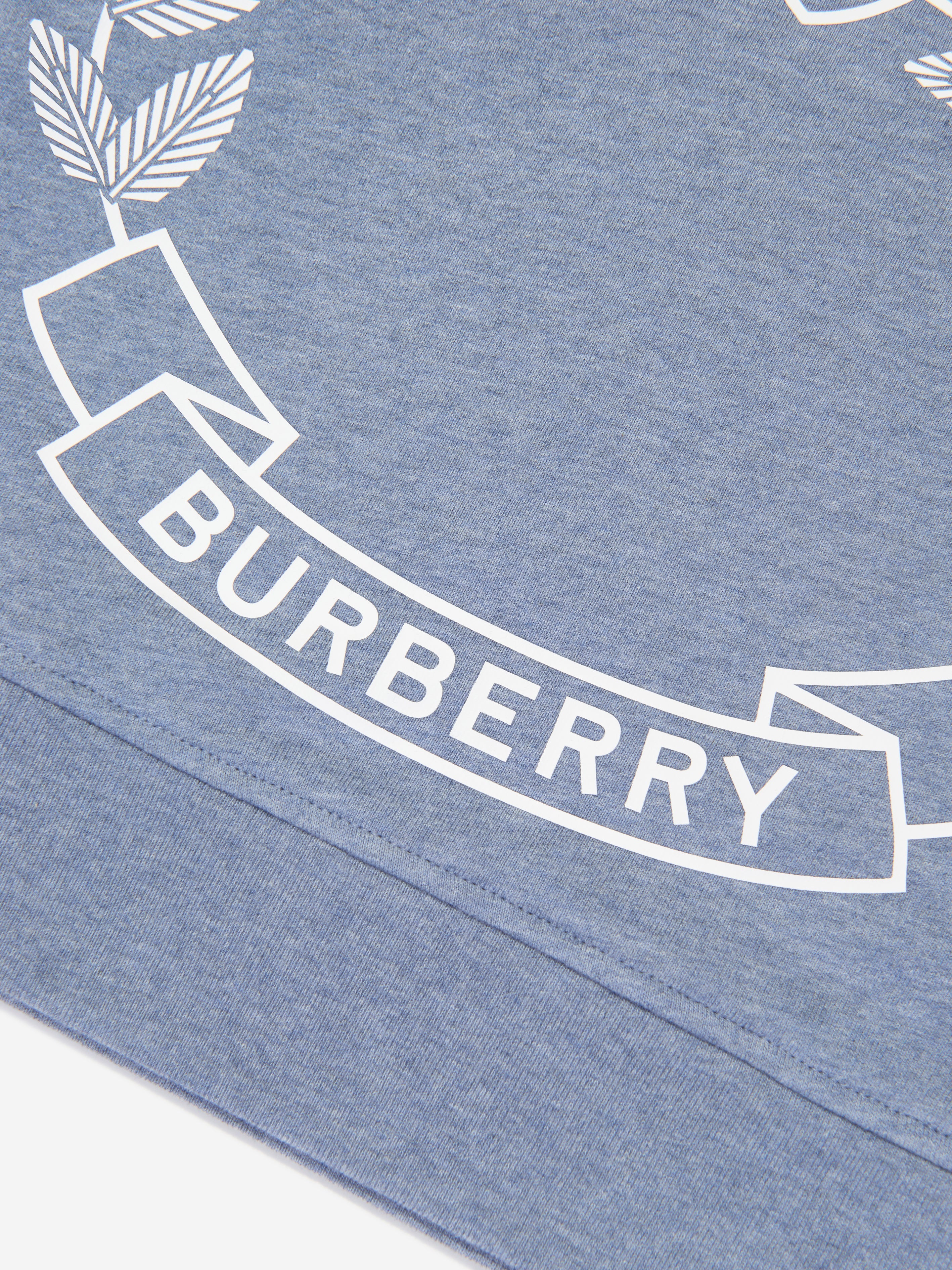 Girls Crest Sweatshirt in Blue