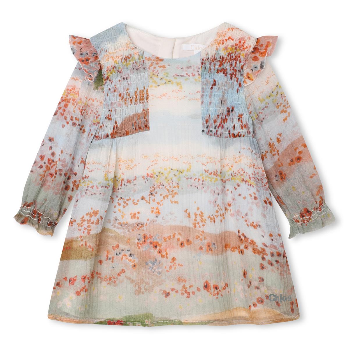 Baby Girls Multicolor Dress