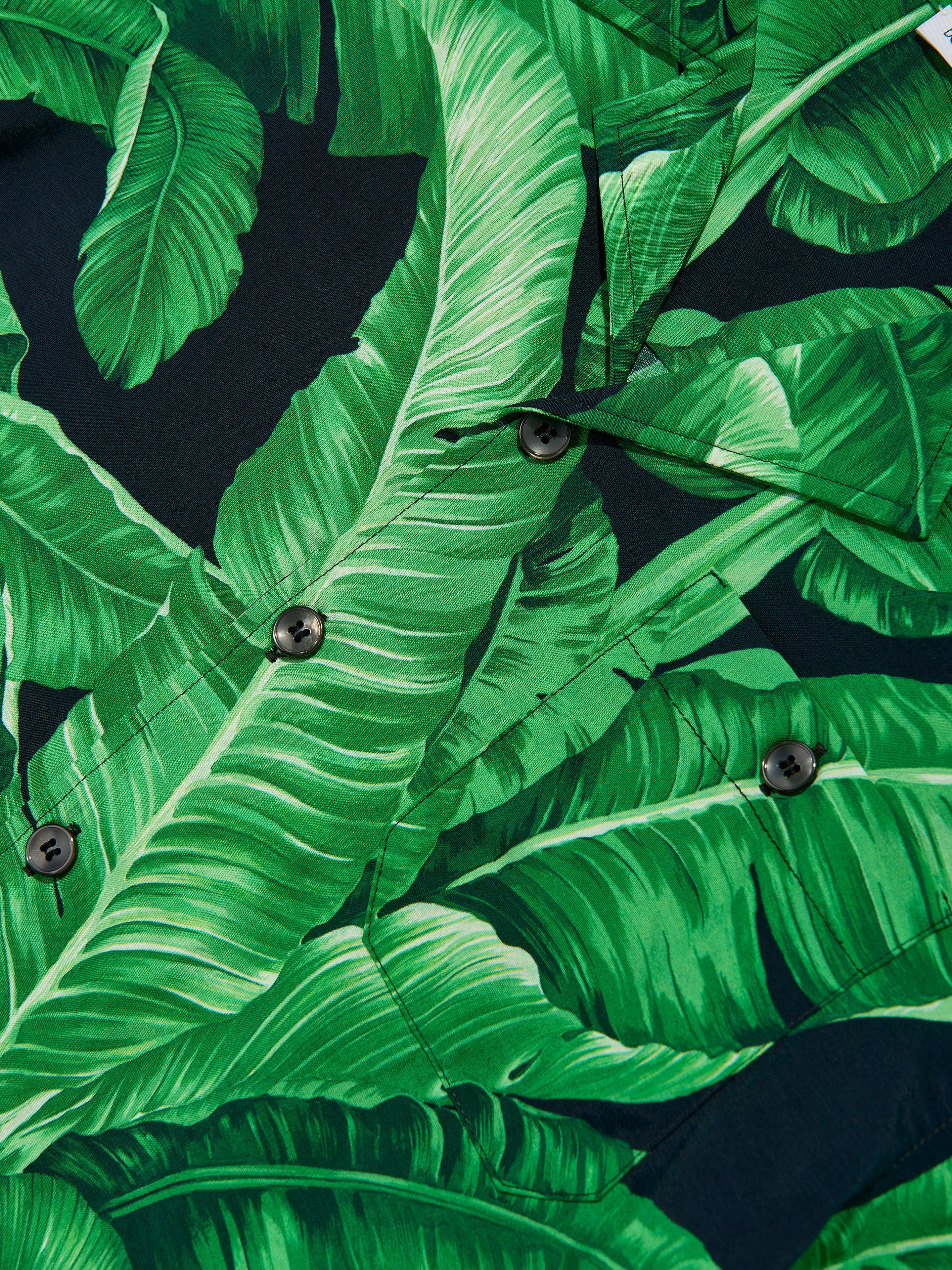 Dolce & Gabbana Boys Banana Leaf Shirt in Green