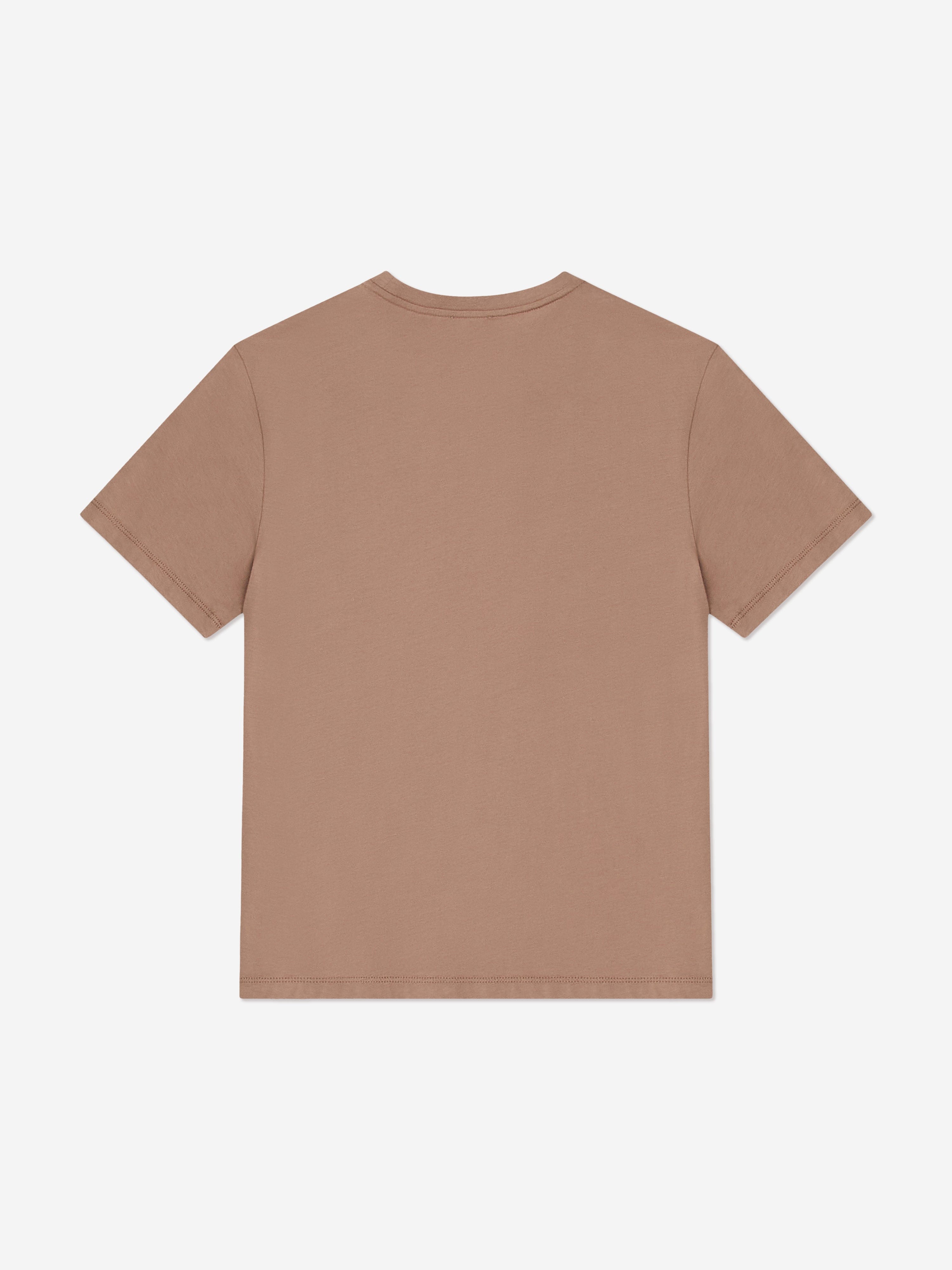 EA7 Emporio Armani Boys Logo T-Shirt in Brown