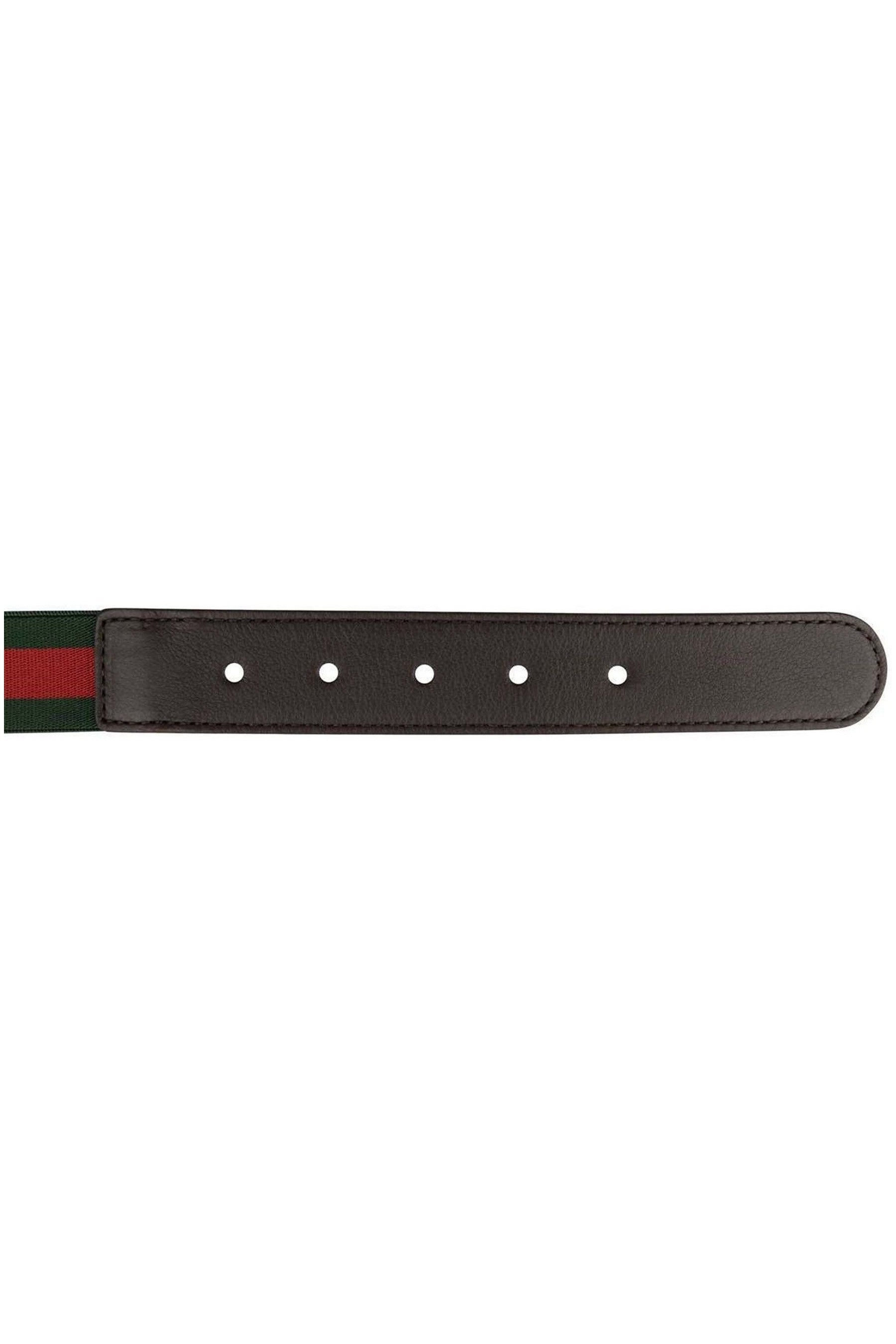 Kids Elastic Web Belt in Green