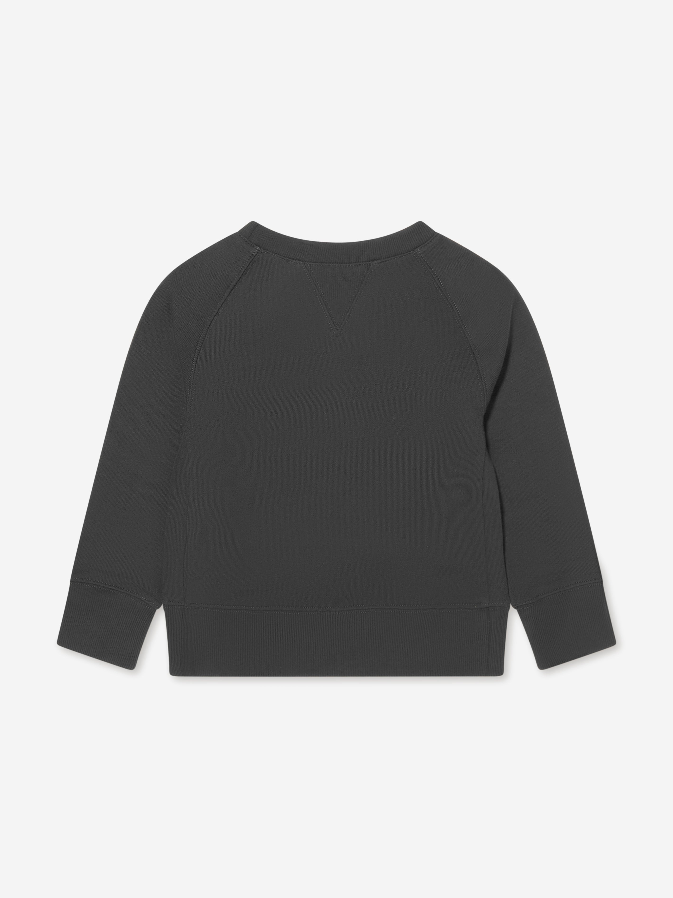 Kids Tiger Logo Sweatshirt in Grey