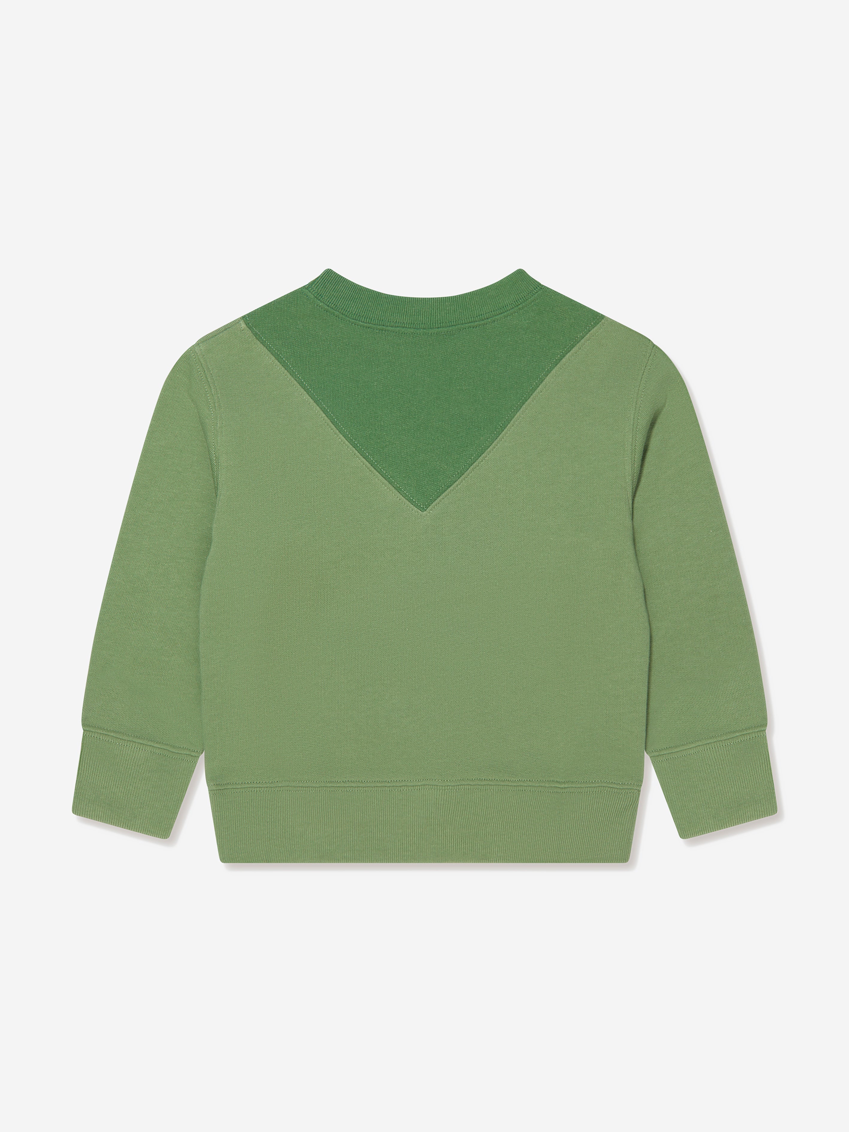 Kids Tiger Logo Sweatshirt in Green