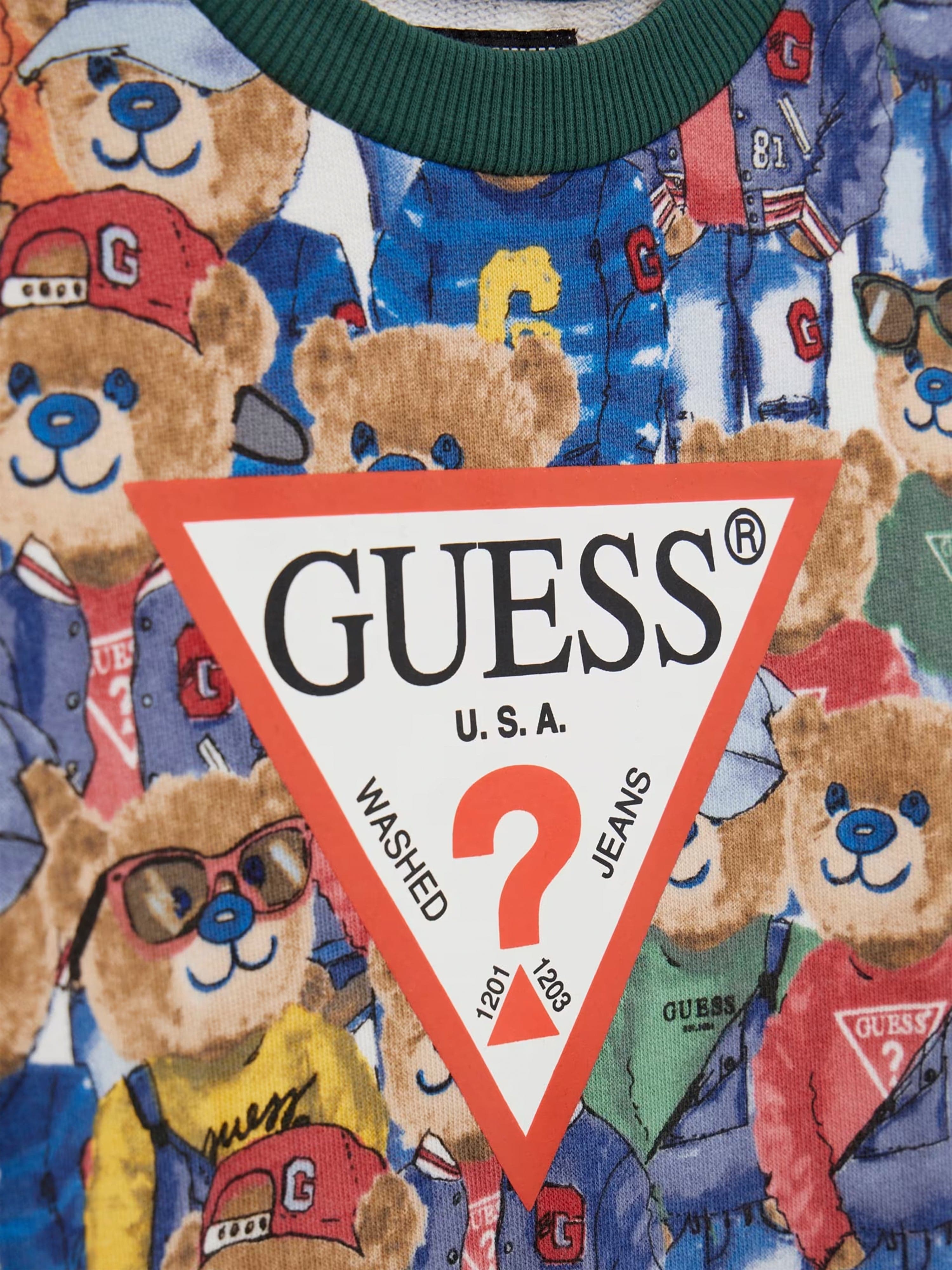 Boys Bear Print Sweatshirt in Multicolour