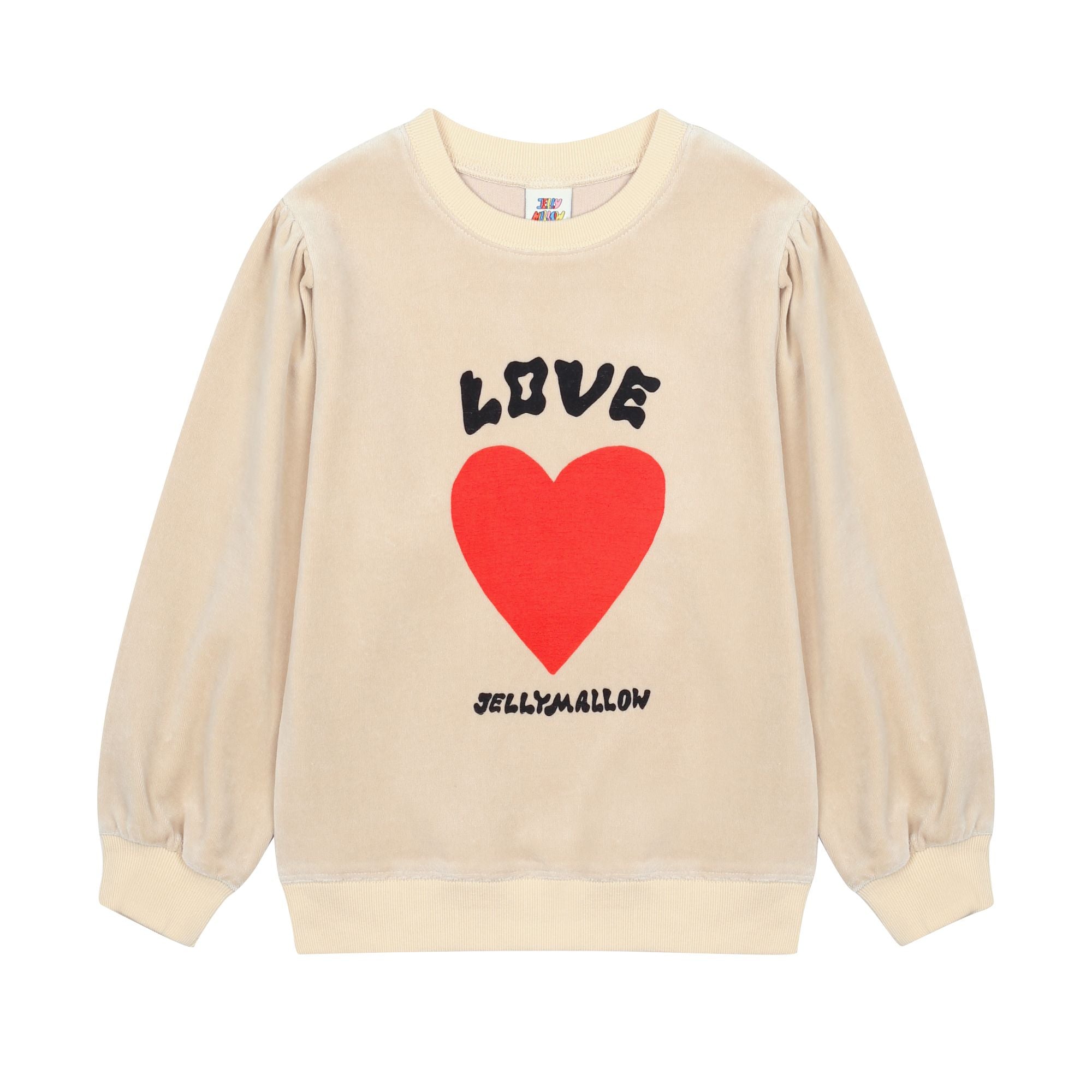 Boys & Girls Beige Velvet Sweatshirt