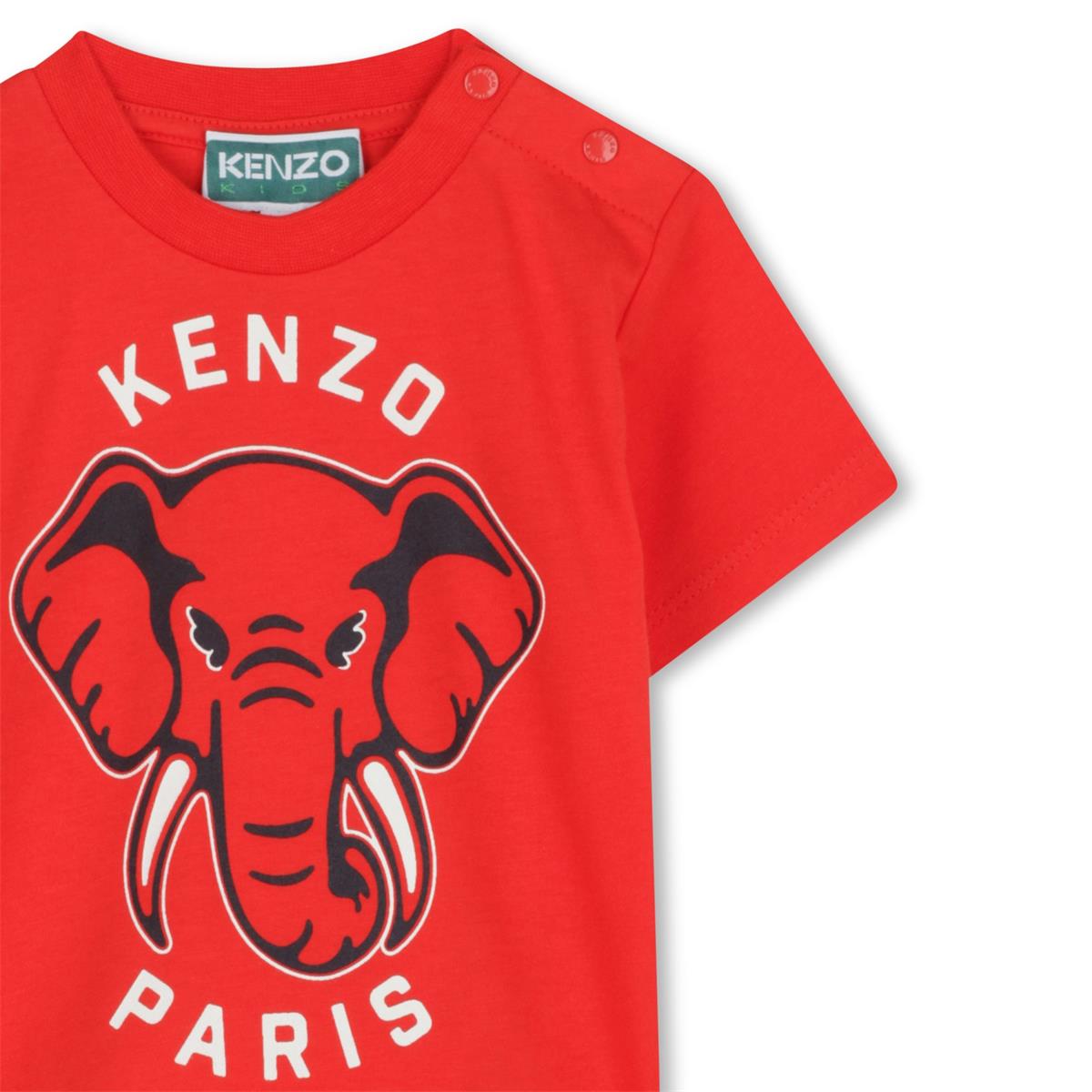 TEE-SHIRT MANCHES COURTES
