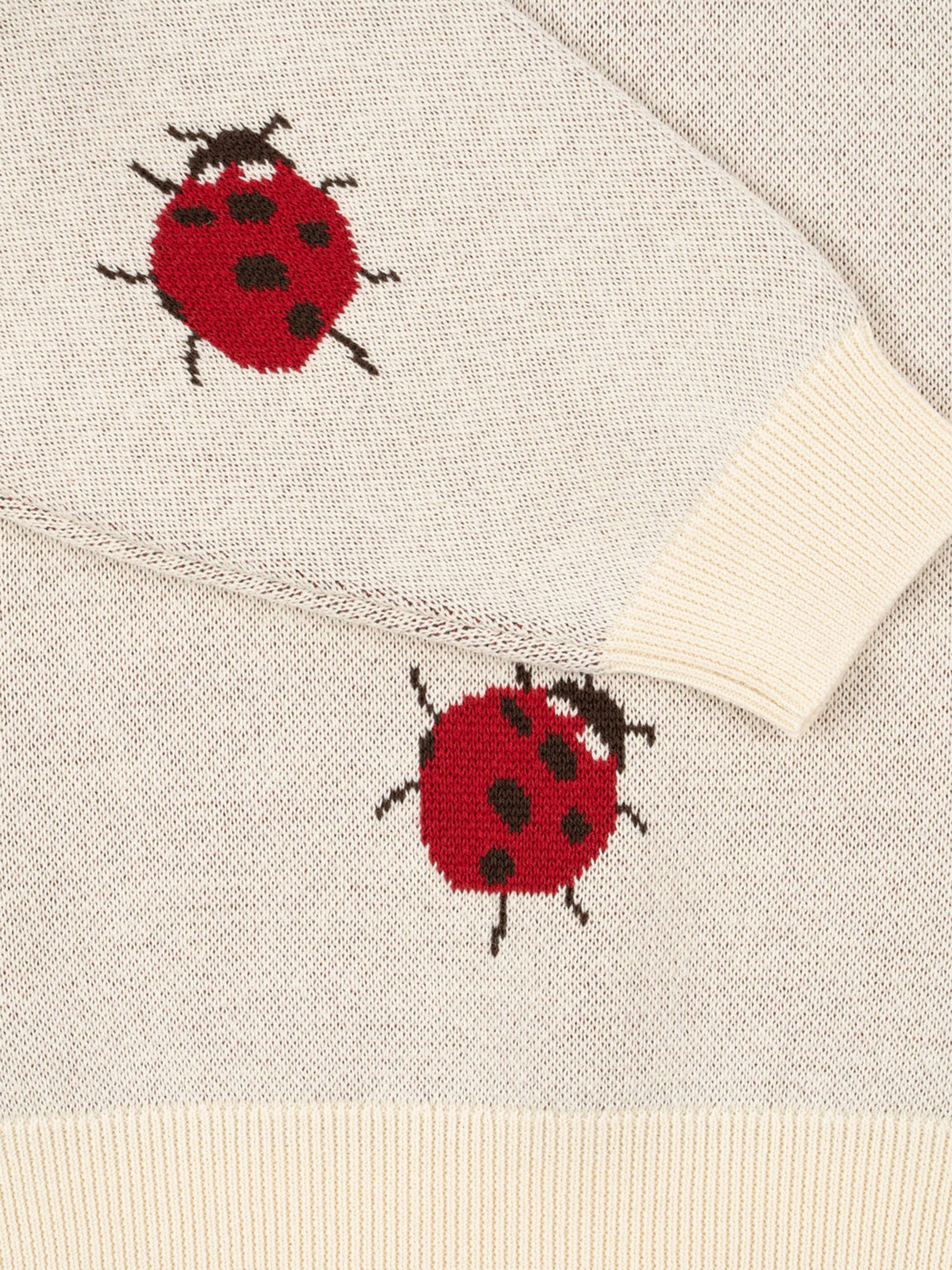 Girls Lapis Ladybug Knit Jumper in Ivory