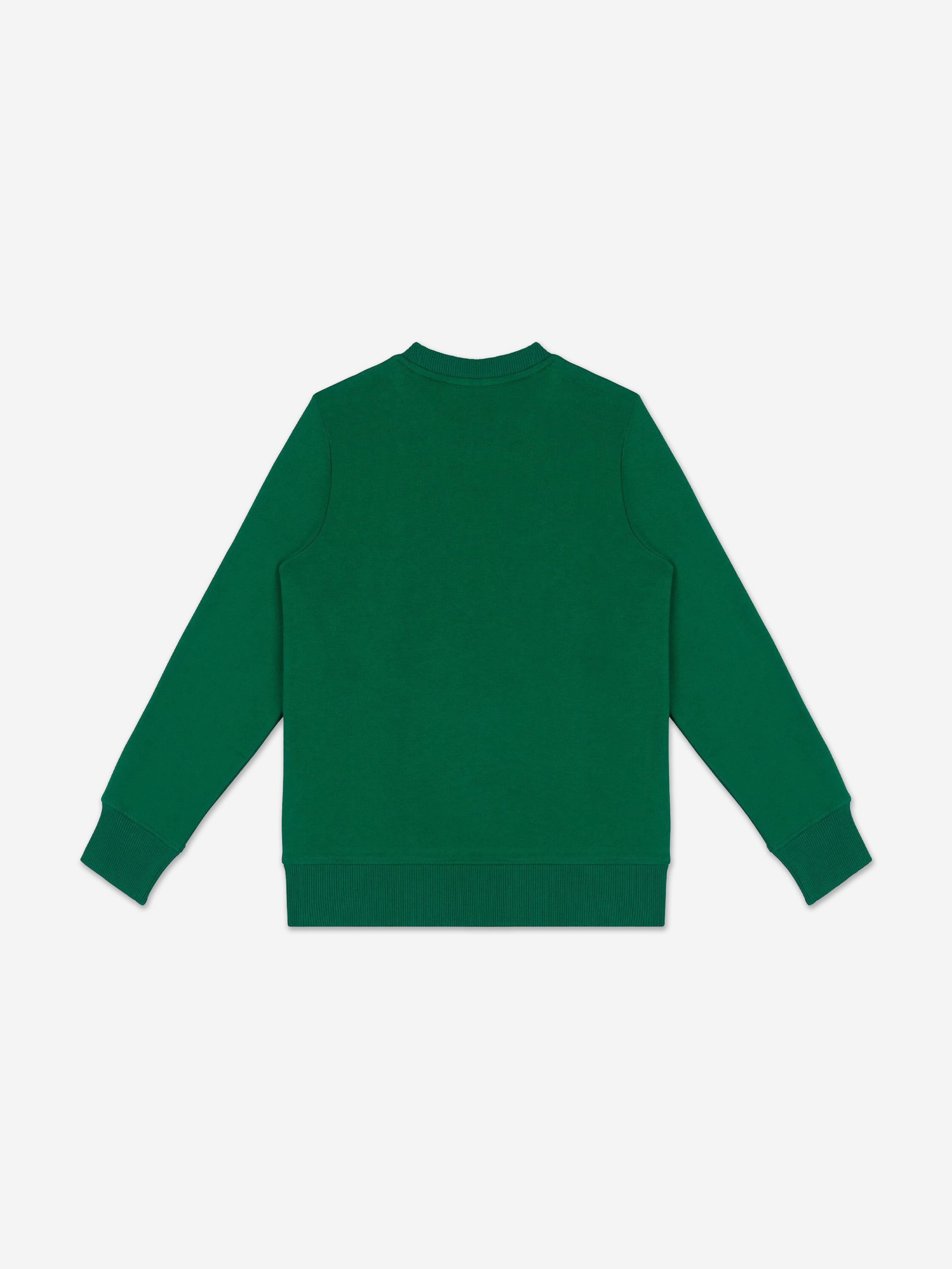 Kids Bear Logo Sweatshirt in Green