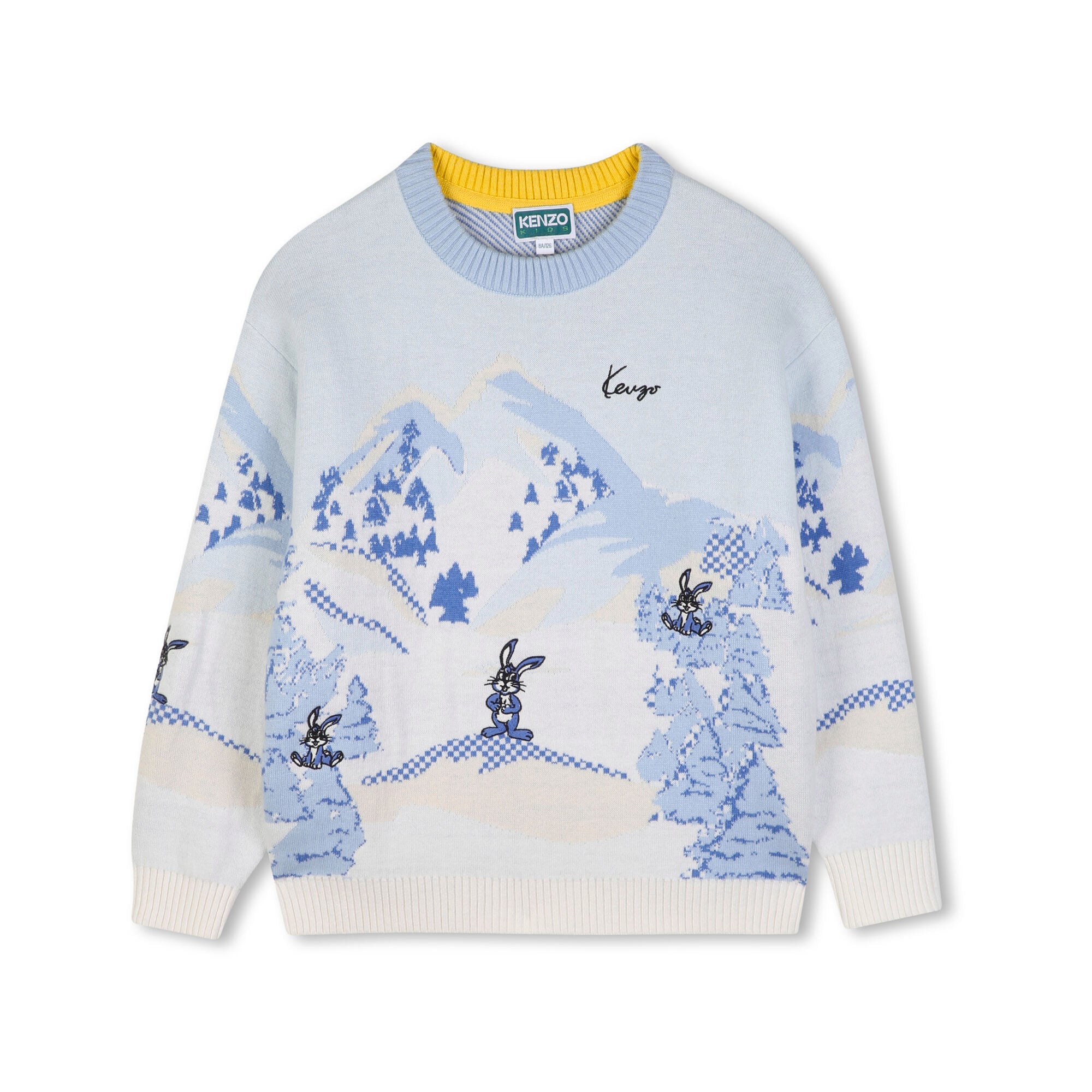 Boys Light Blue Jacquard Cotton Knit Sweater