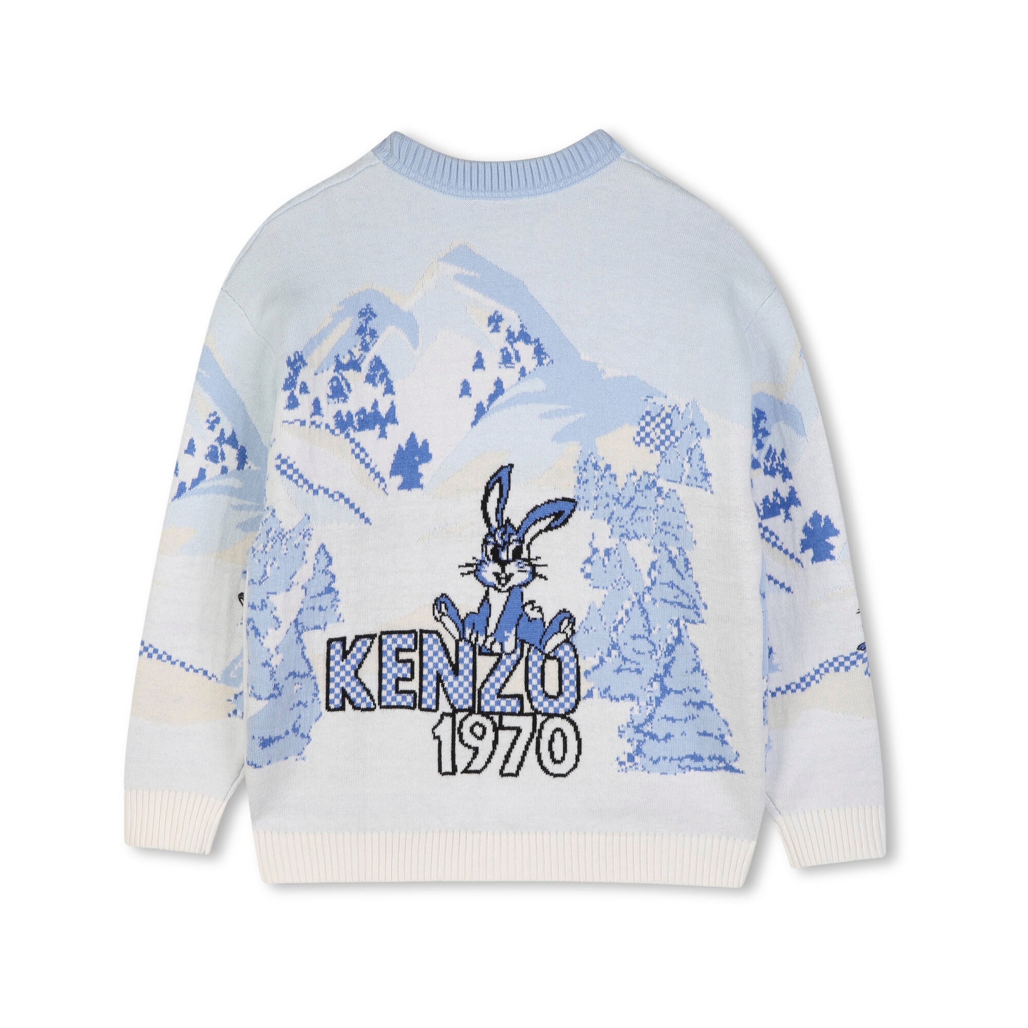 Boys Light Blue Jacquard Cotton Knit Sweater