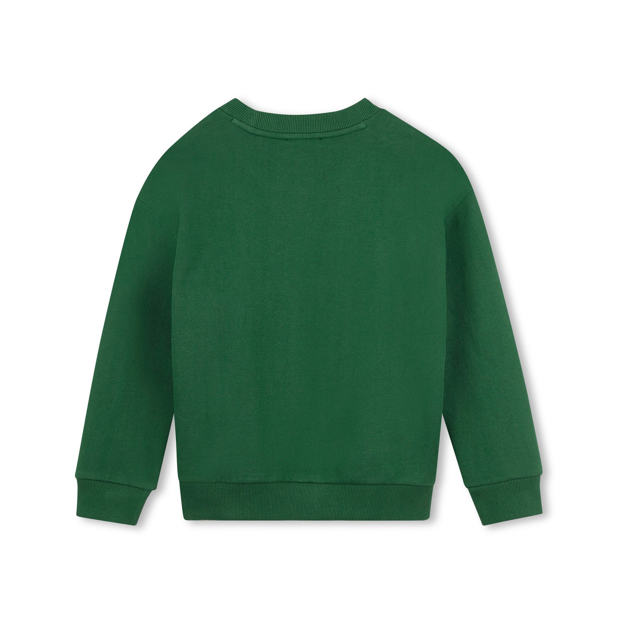 Boys & Girls Green Embroidered Tiger Cotton Sweatshirt