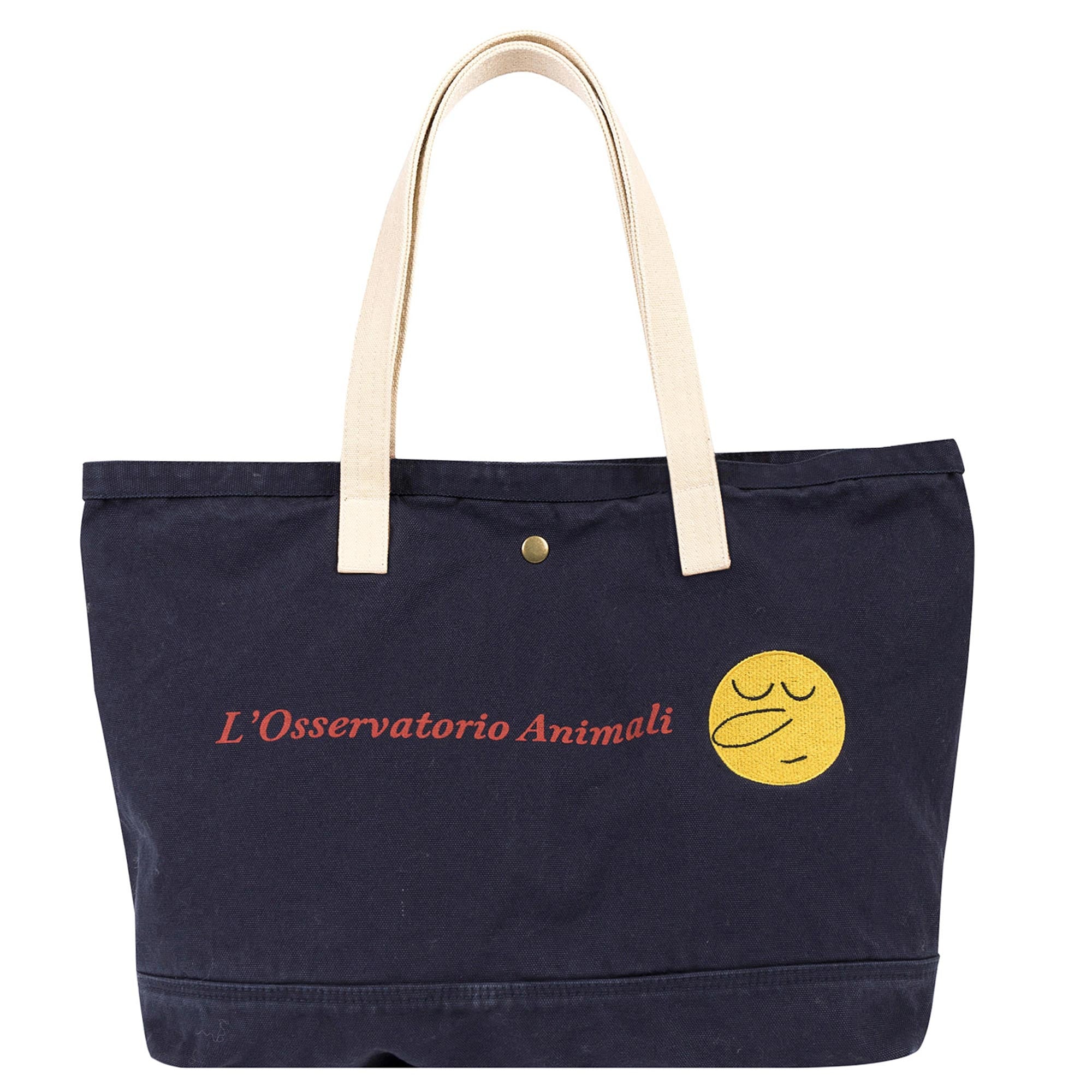 Blue Canvas Tote Bag