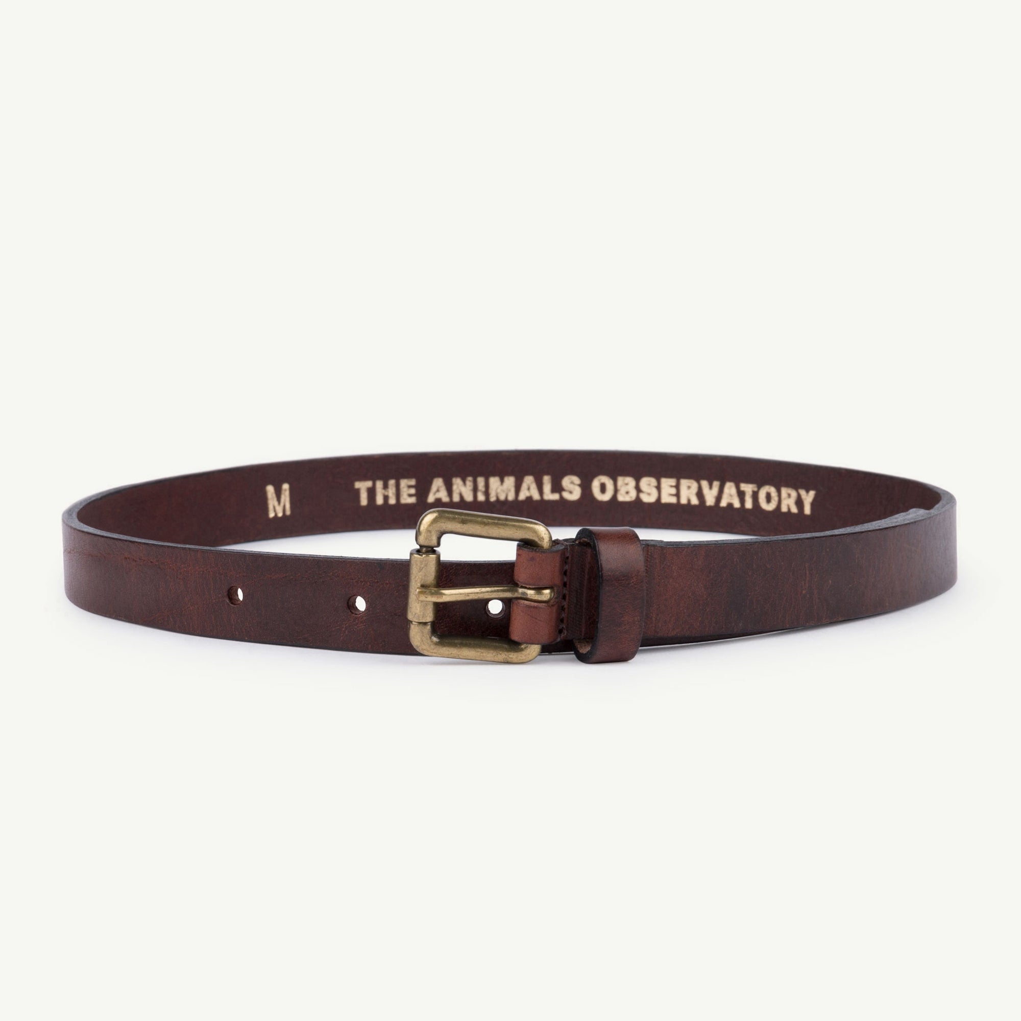 Girls & Boys Deep Brown Leather Ibis Belt
