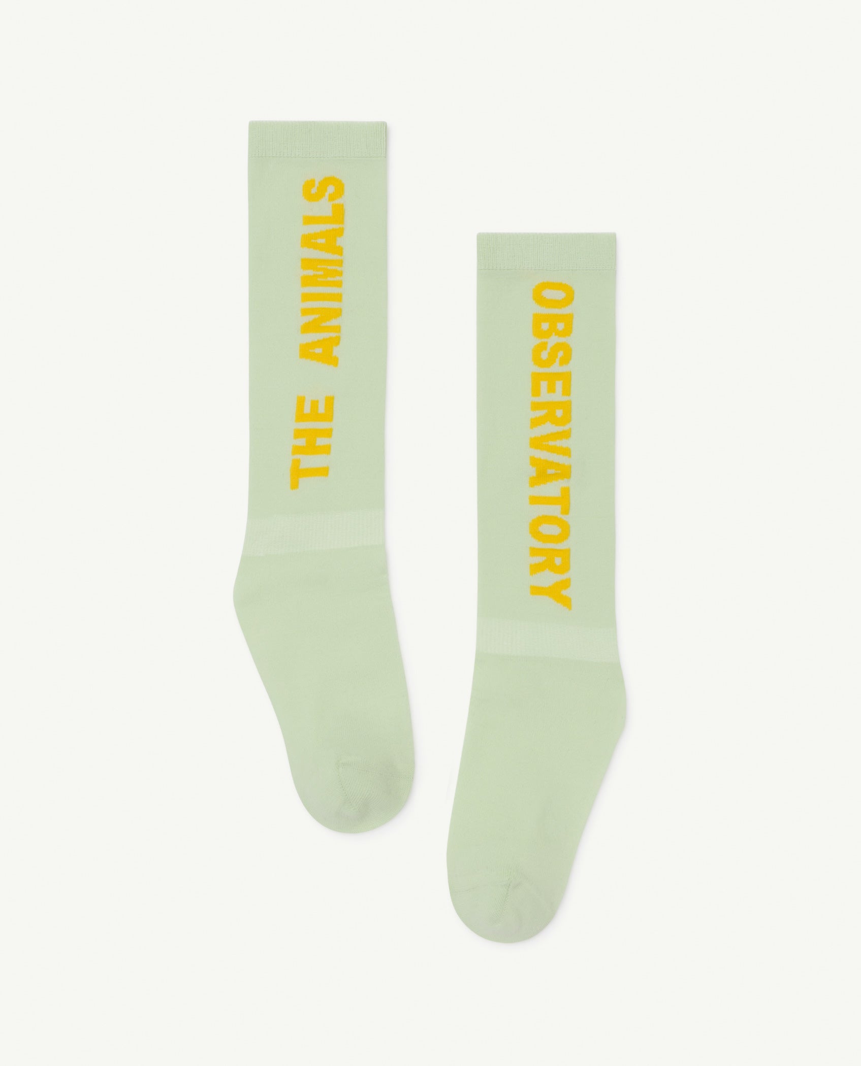 Girls Light Green Logo Socks