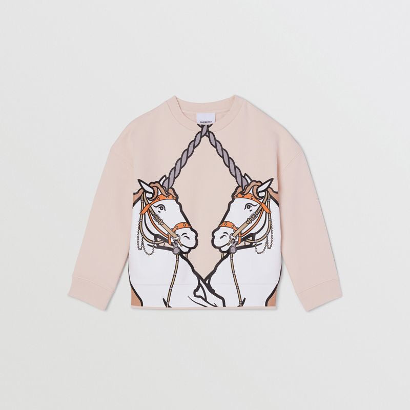 Girls Soft Pink Cotton Sweatshirt
