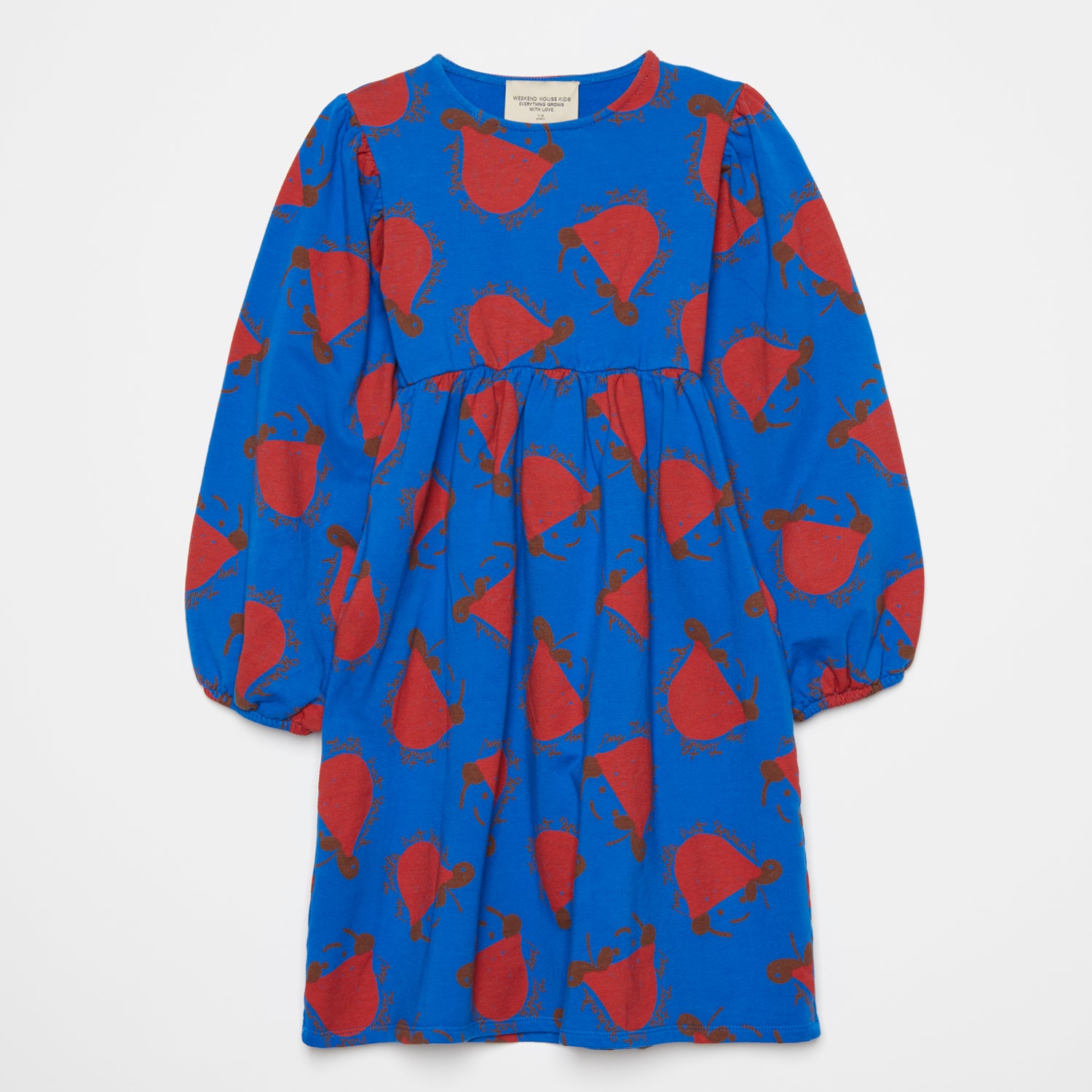 Girls Blue Printed Dress
