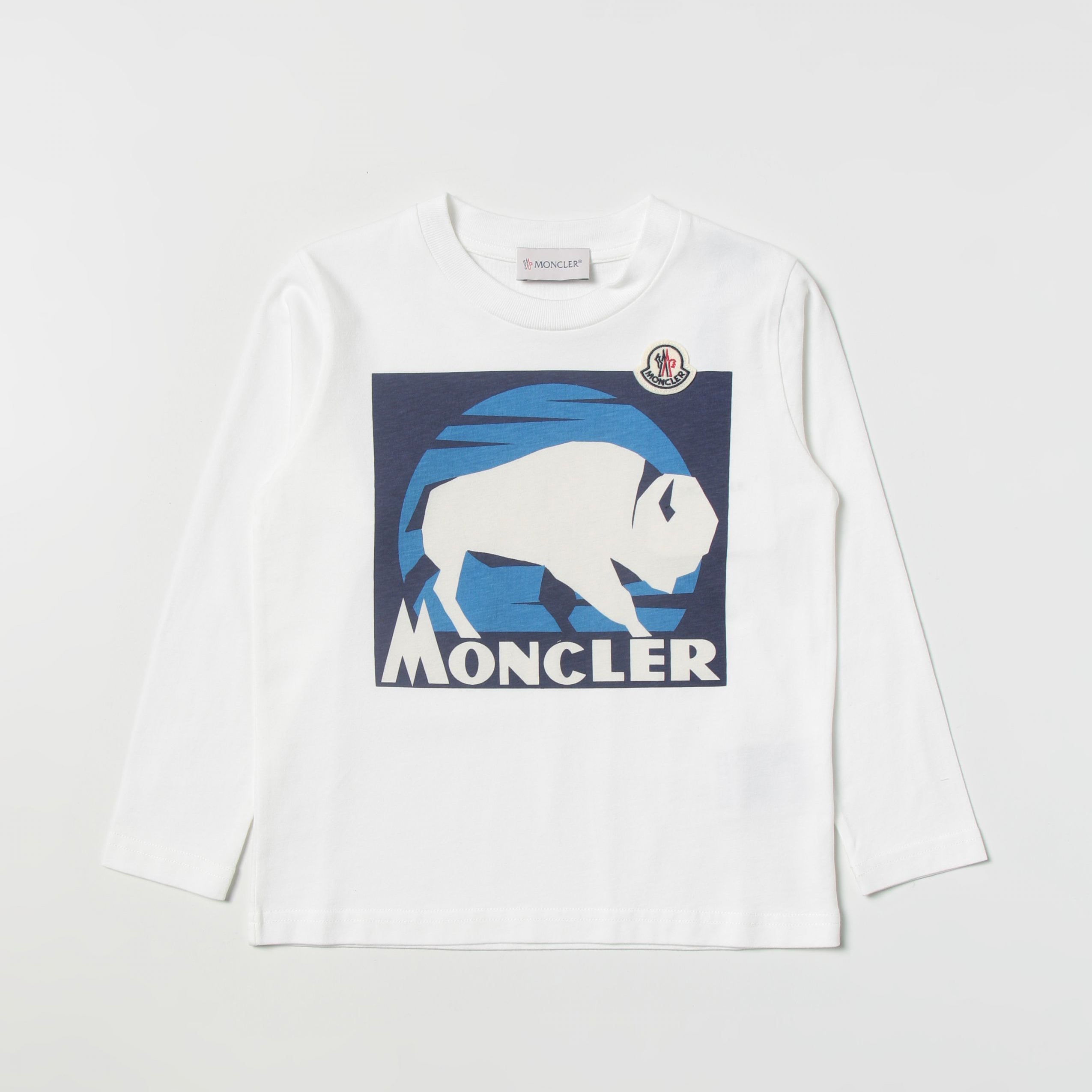 Boys White Printed Cotton T-Shirt