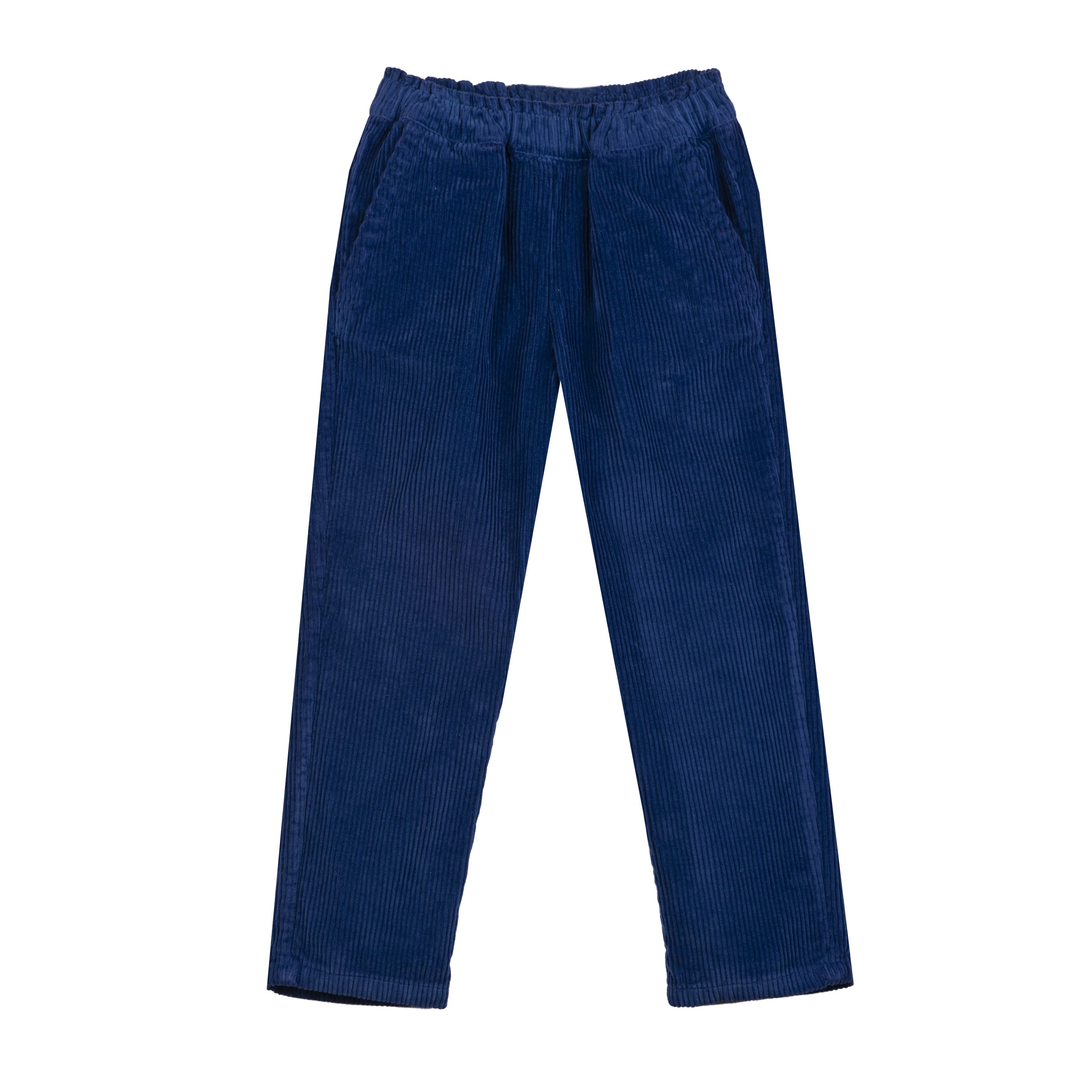 Girls Blue Velvet Trousers