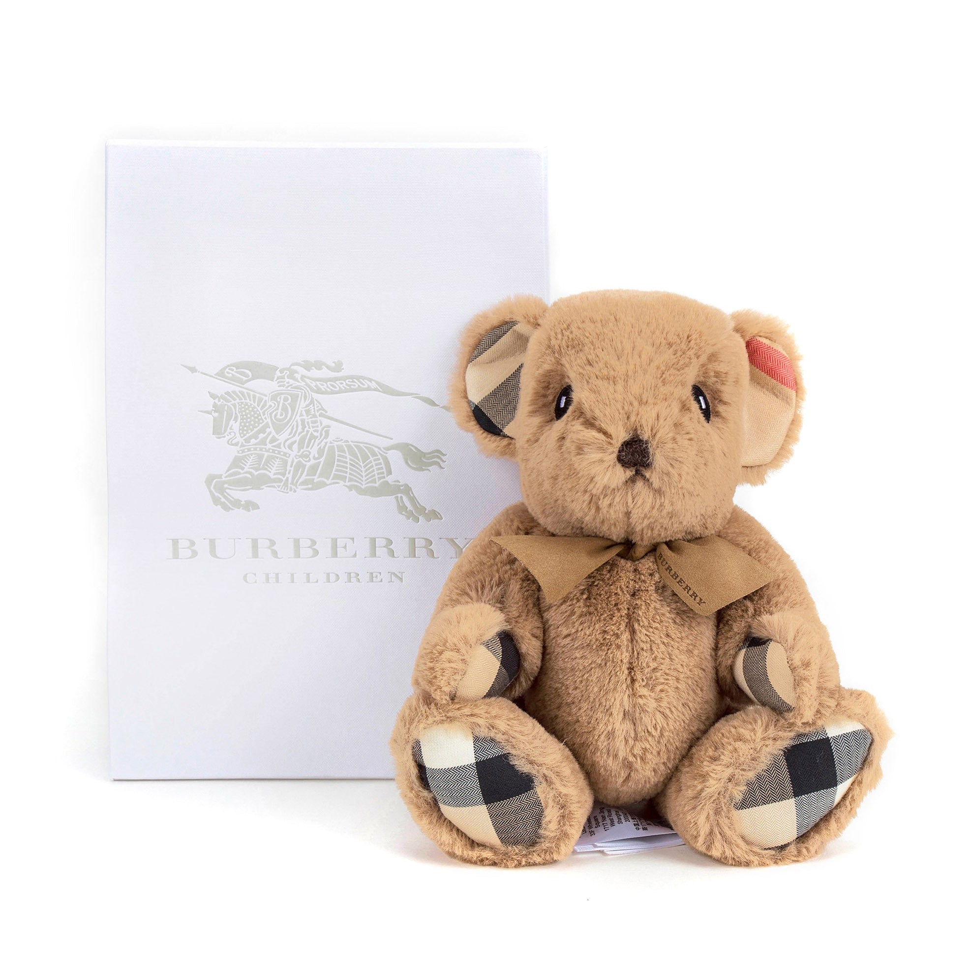Brown Bear