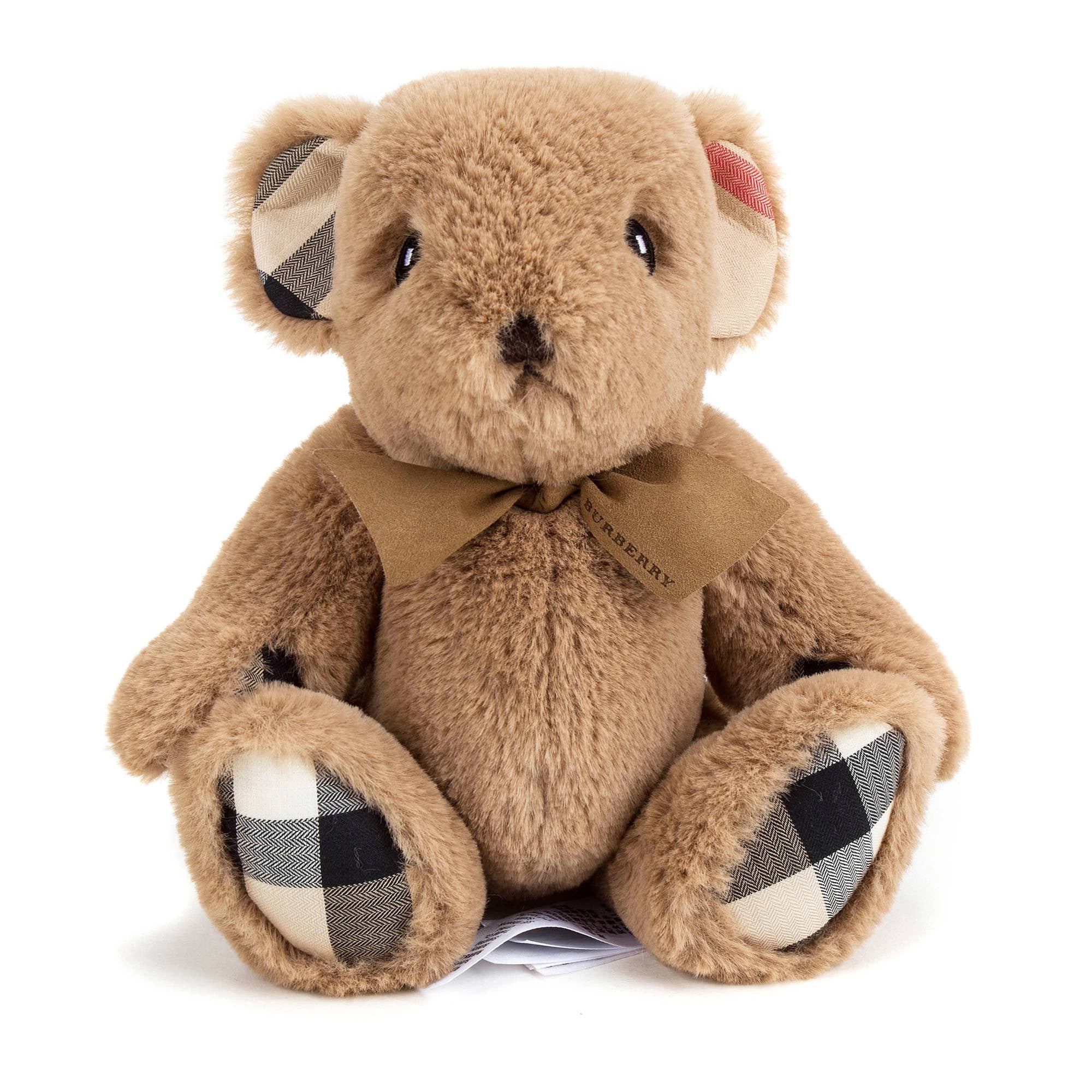 Brown Bear