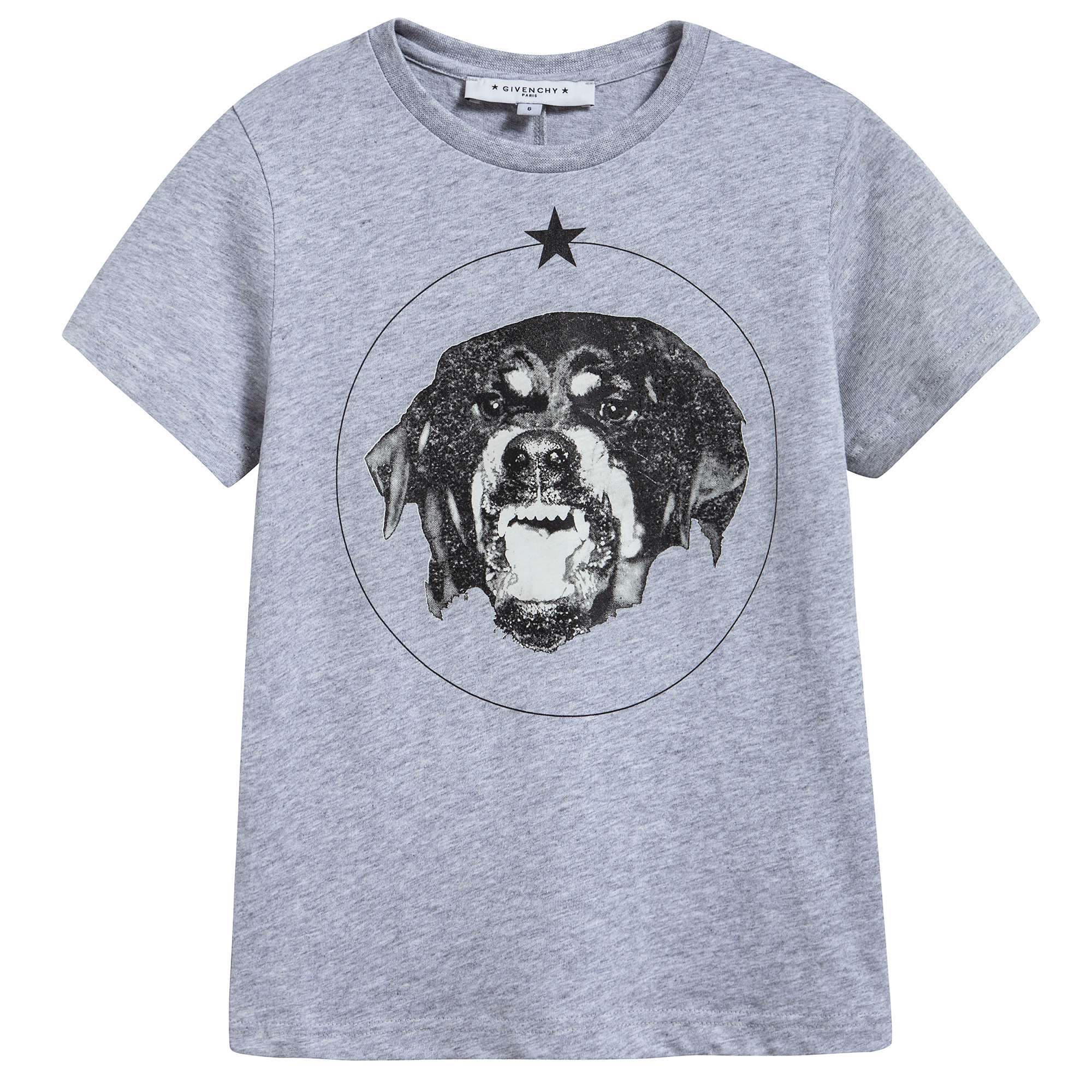 Boys Grey Dog Printed Cotton T-shirt