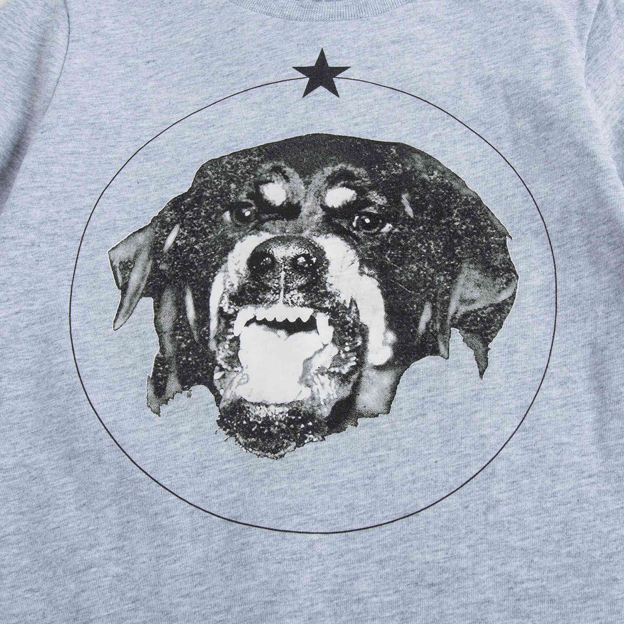 Boys Grey Dog Printed Cotton T-shirt