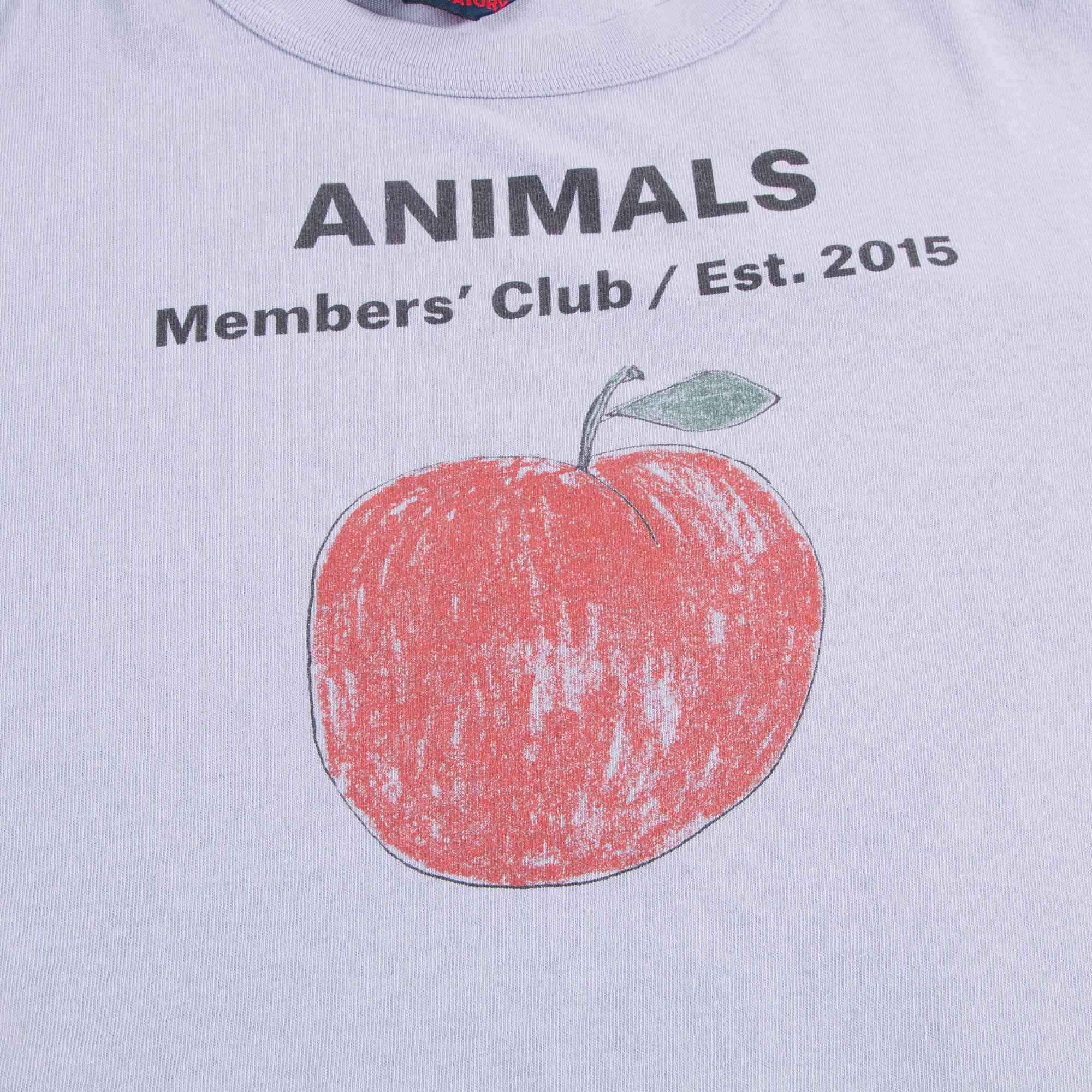 Girls Lavand Peach Cotton T-shirt