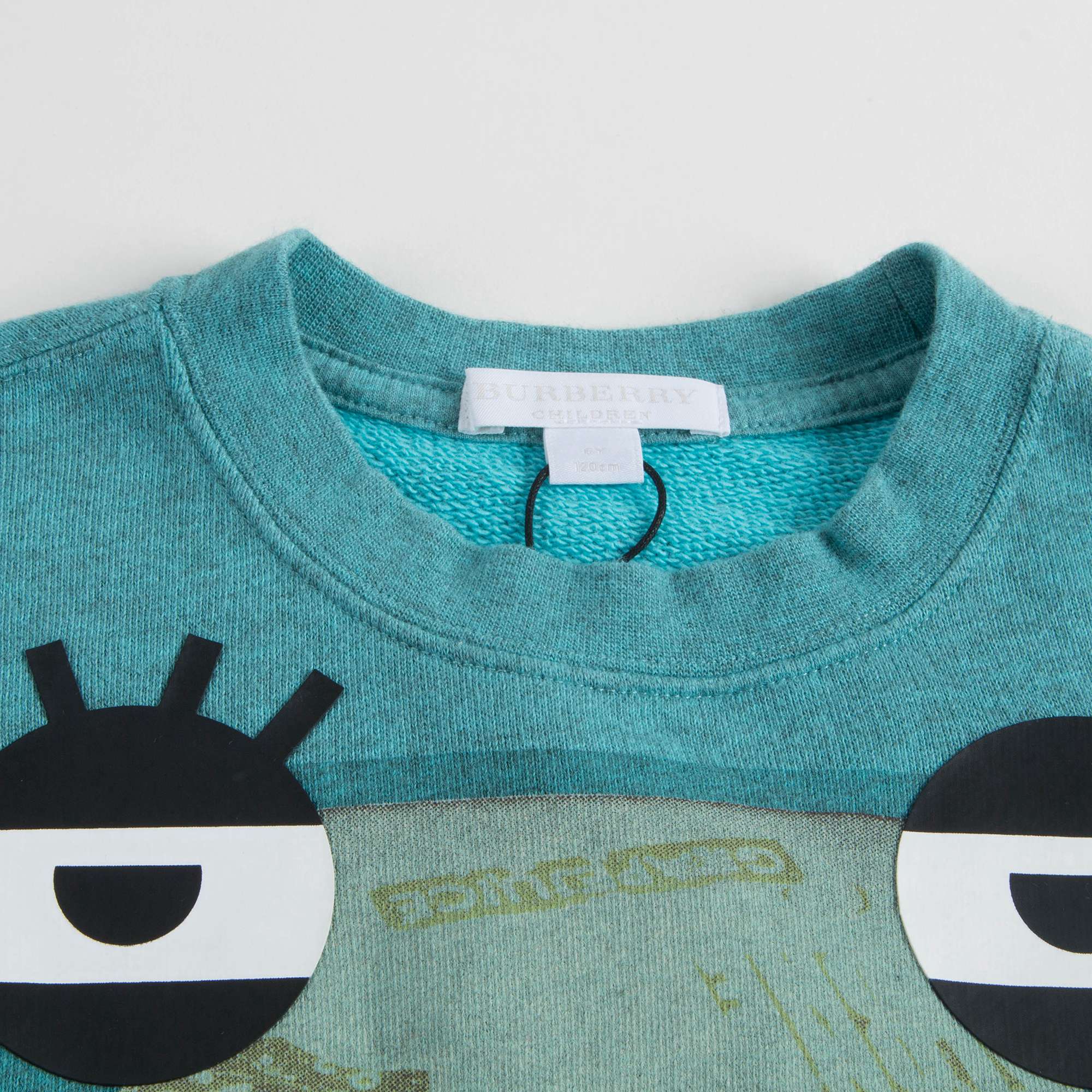 Girls Turquoise Cotton Sweatshirt