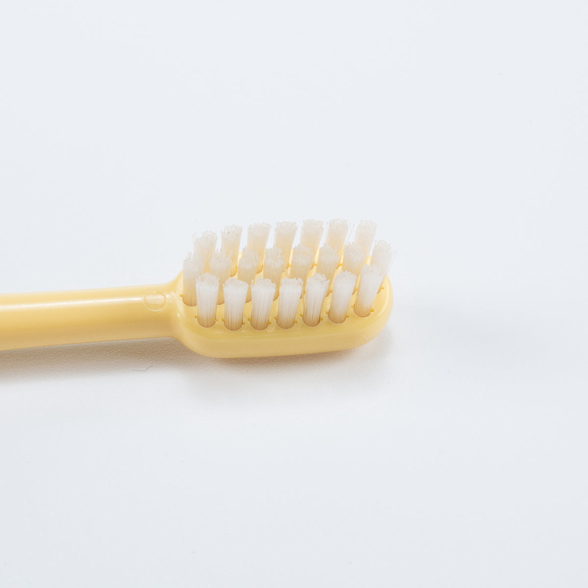 Tête de brosse à dents de rechange (lot de 2, couleurs aléatoires)