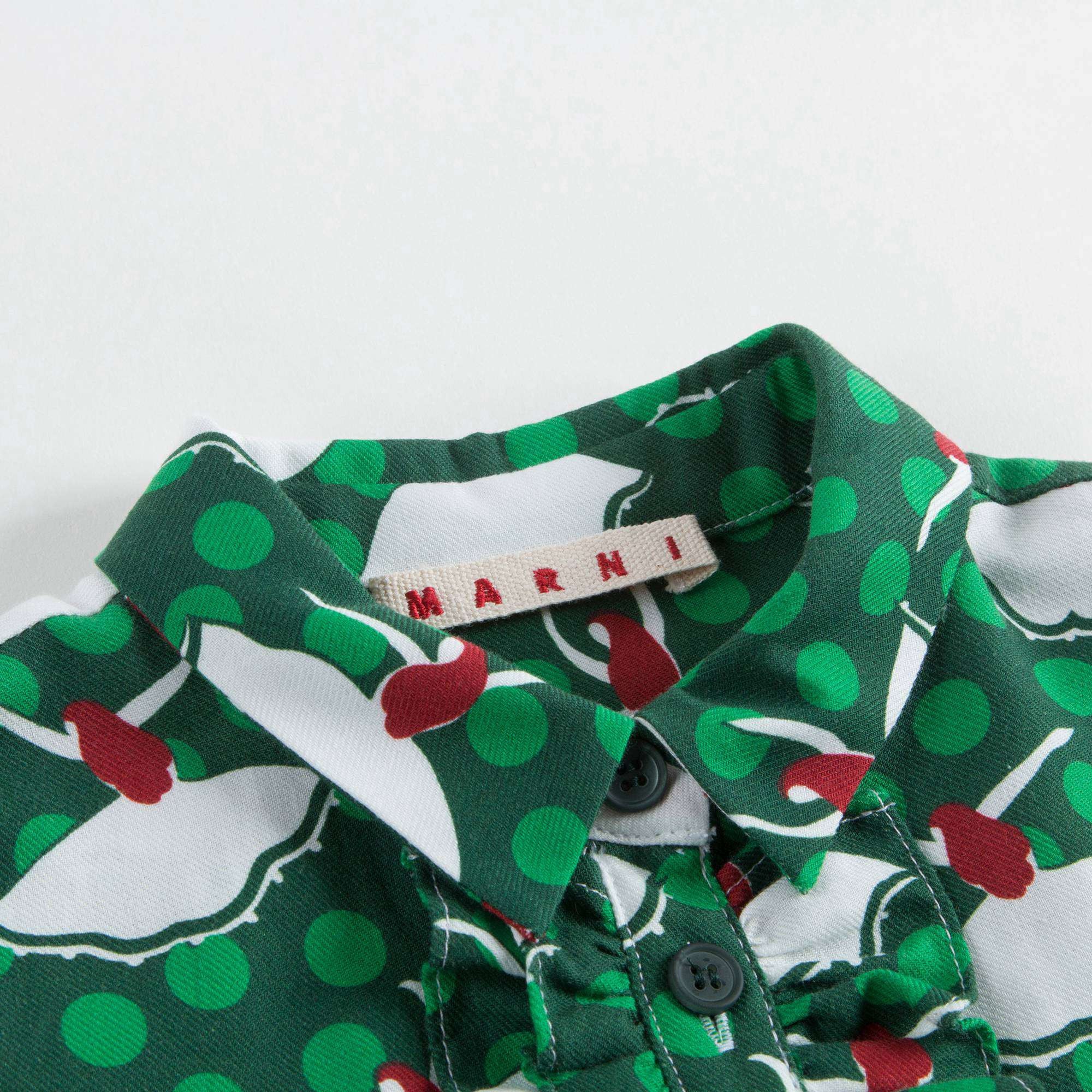 Girls Green Dancer Printed Dress