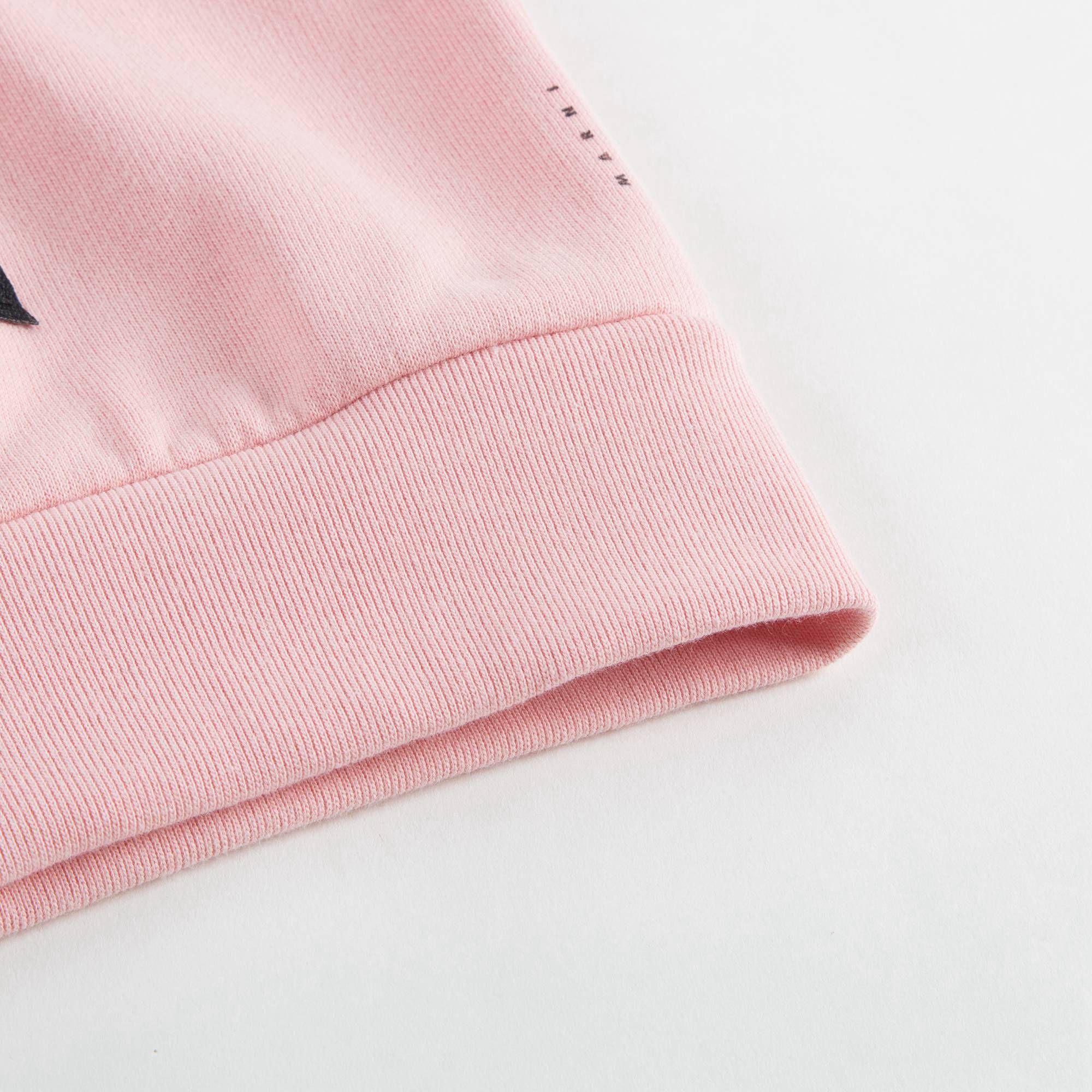 Girls Pink Cotton Sweatshirt