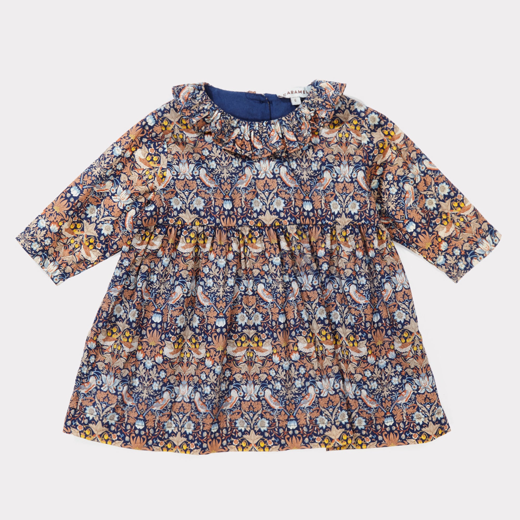 Baby Girls Liberty Strawberry Theif Cotton Dress