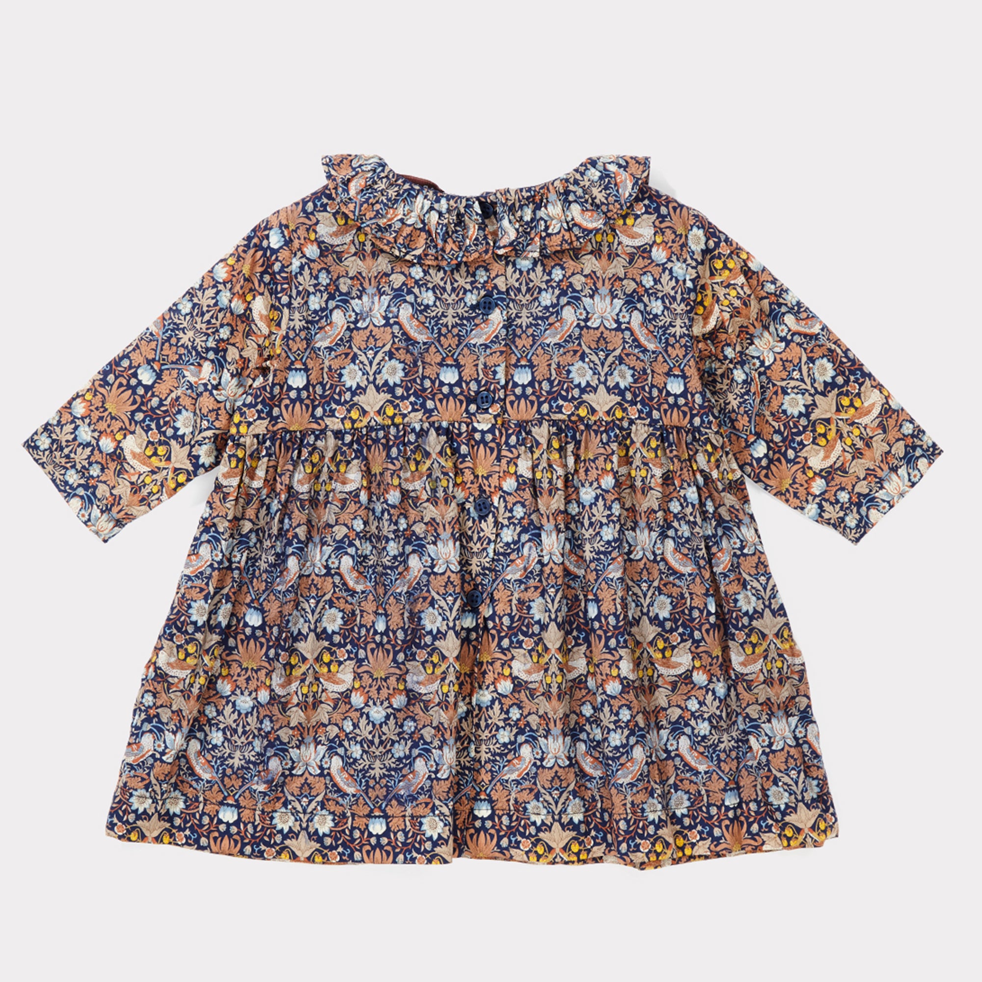 Baby Girls Liberty Strawberry Theif Cotton Dress
