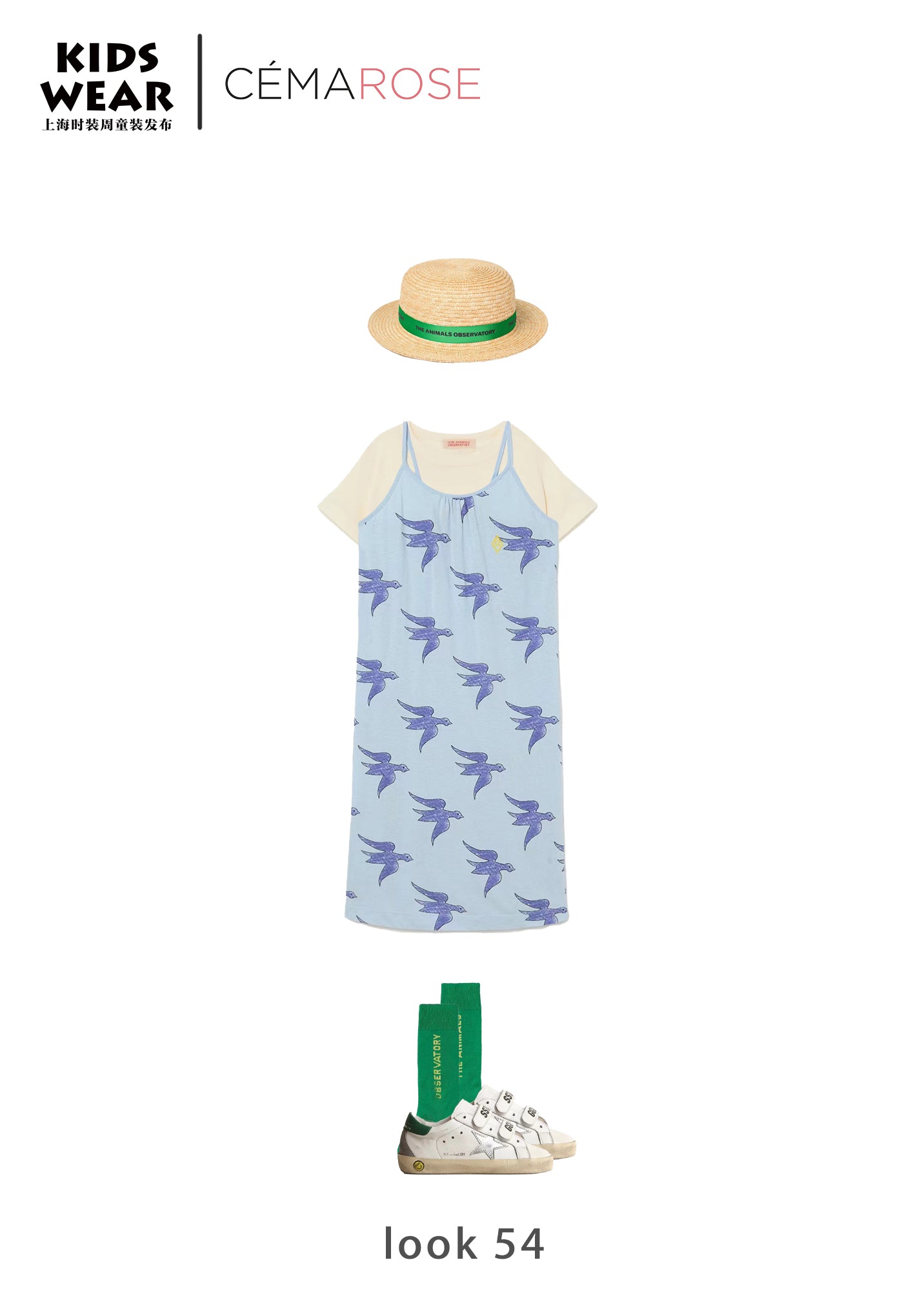 Girls Blue Bird Printed Cotton Dress