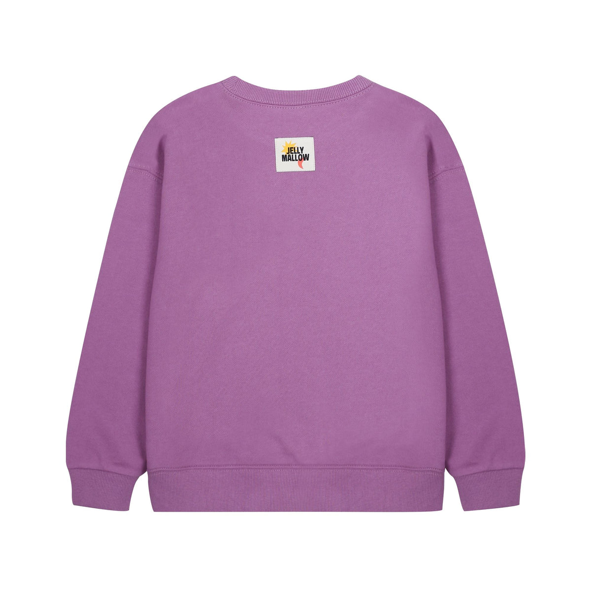 Boys & Girls Purple Cotton Sweatshirt