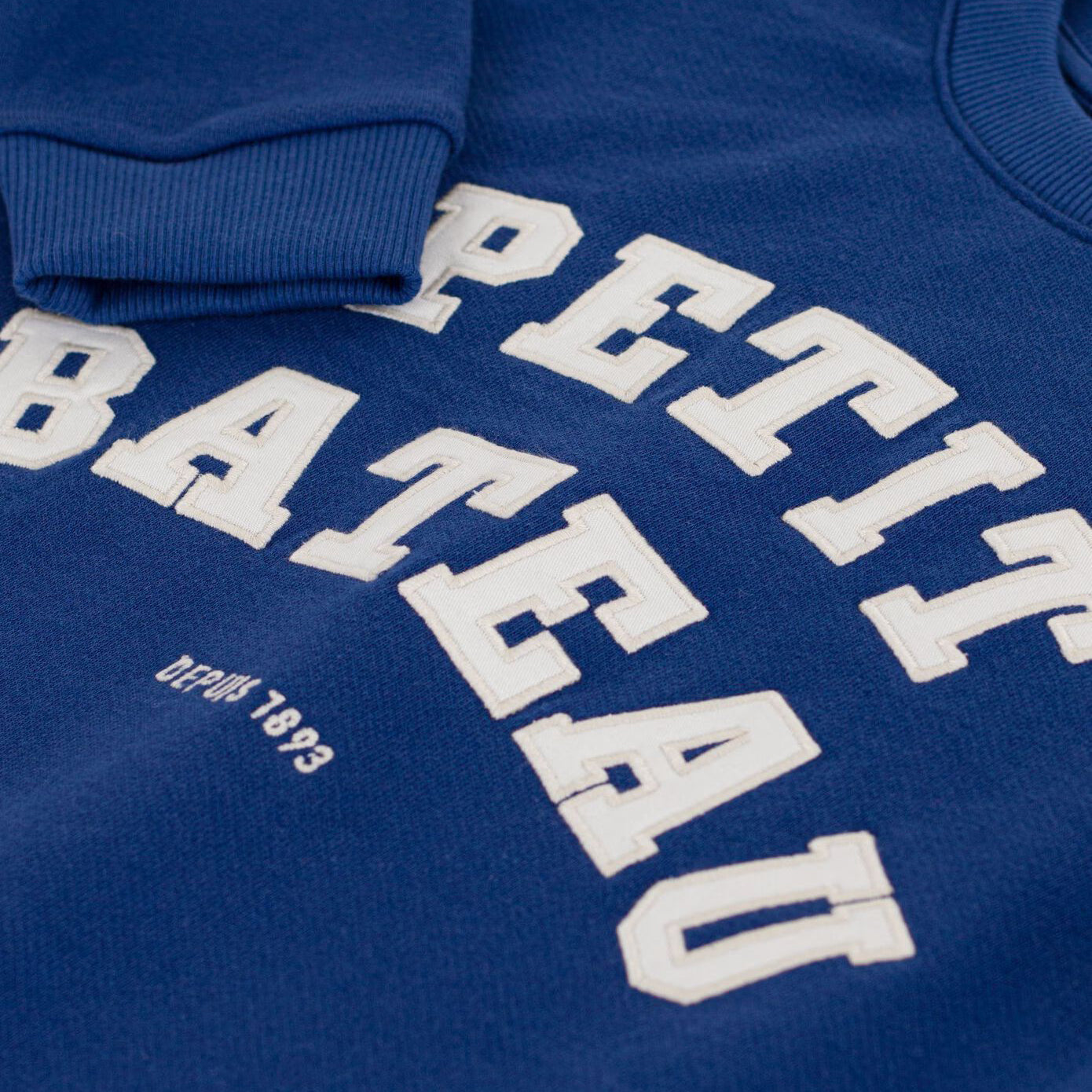 Boys Blue Logo Cotton Sweatshirt