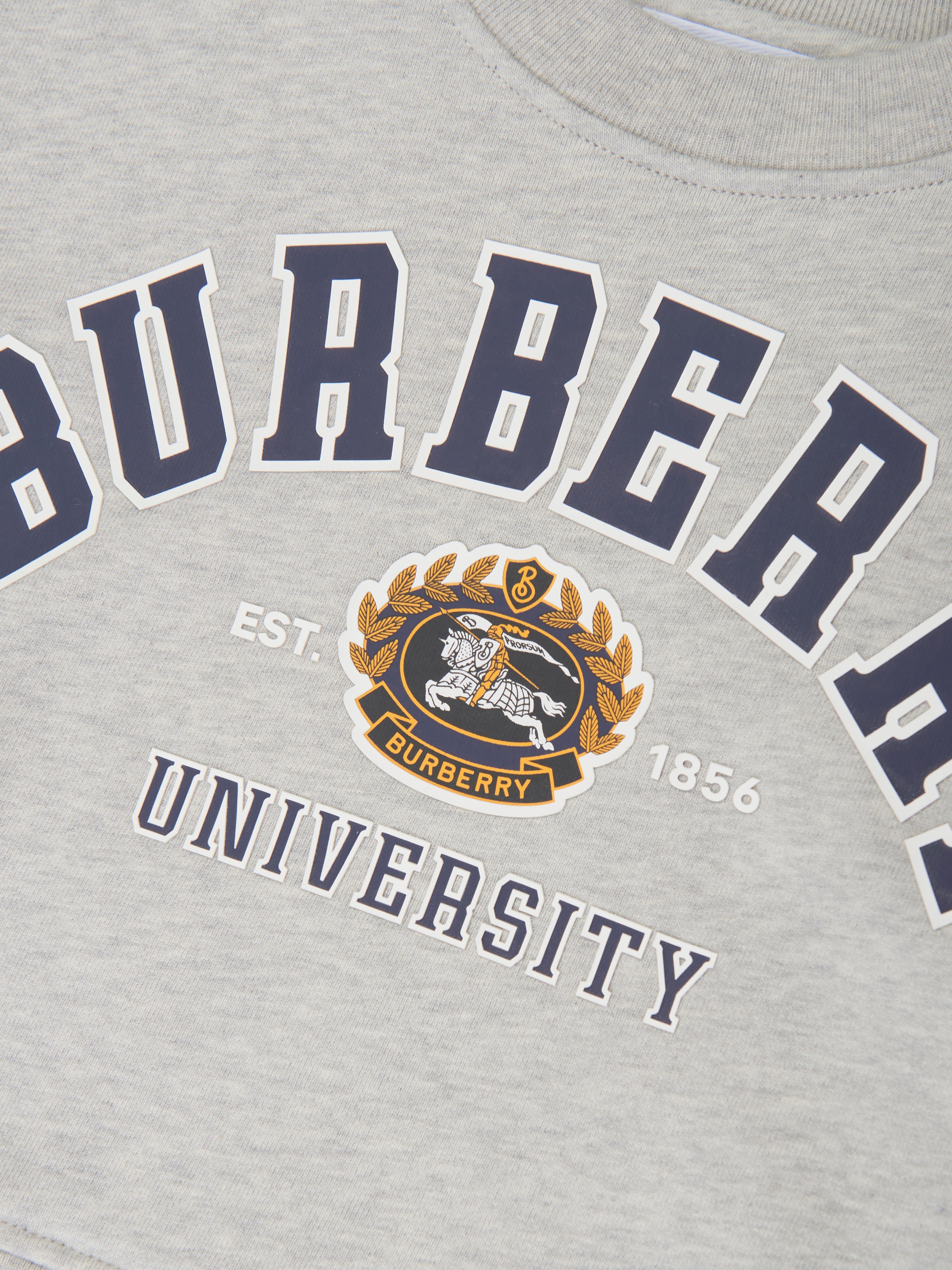 Girls Isla Varsity Sweatshirt in Grey