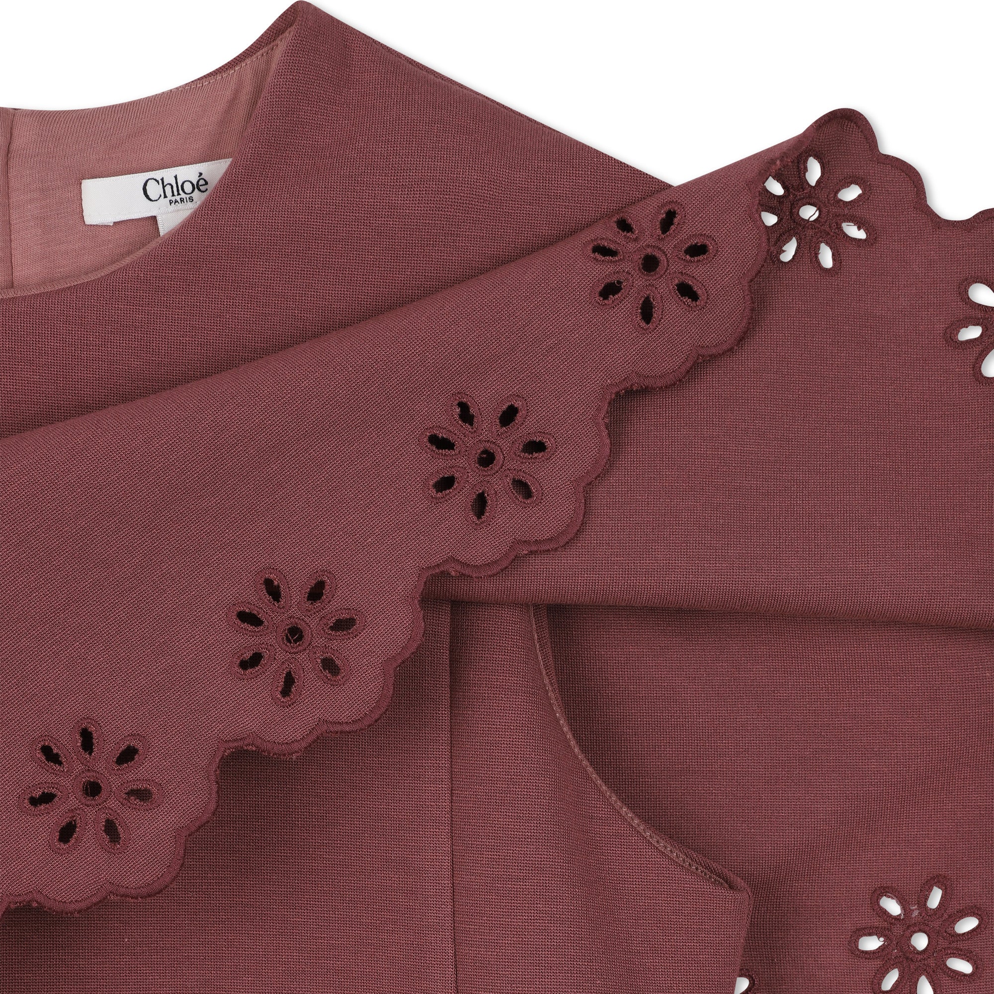 Girls Wine Red Ruffled Dress