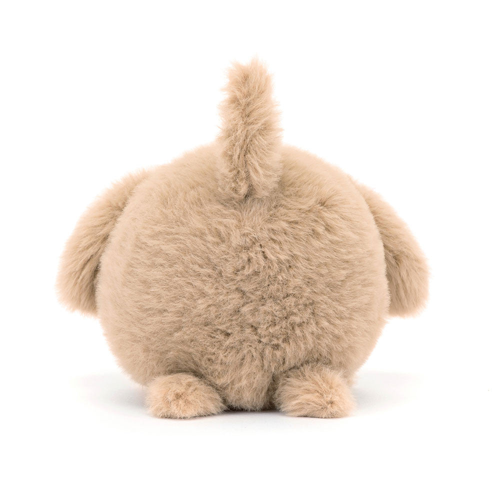 Caboodle Puppy(10x9x11cm)