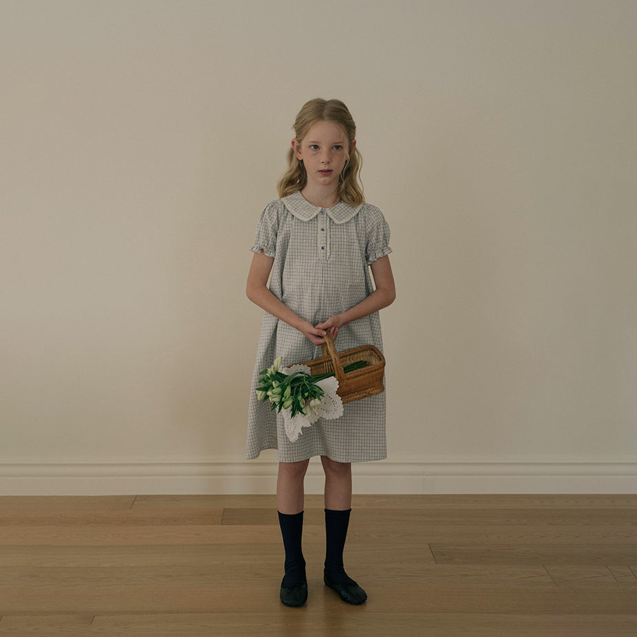 Girls Blue Check Cotton Dress