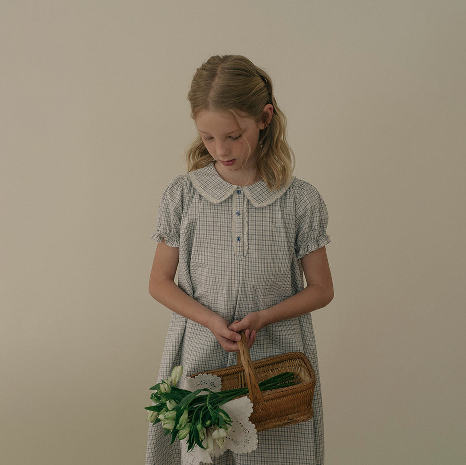 Girls Blue Check Cotton Dress