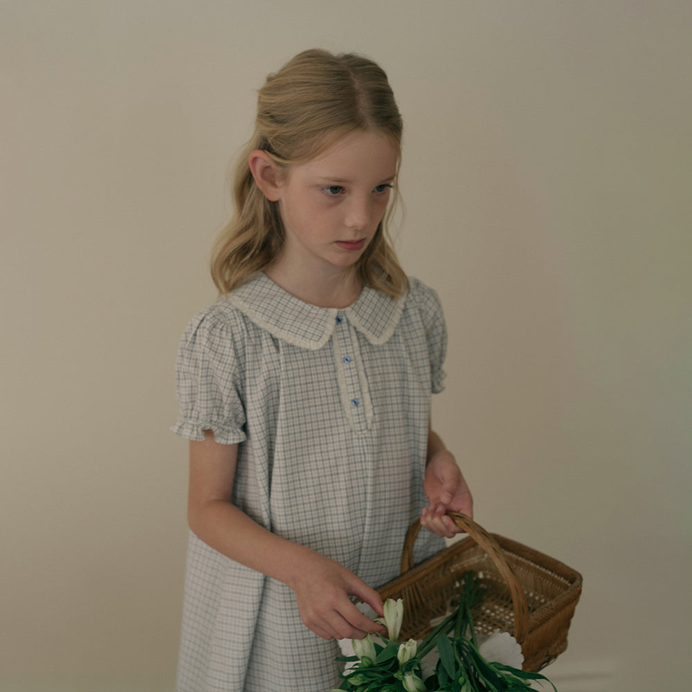 Girls Blue Check Cotton Dress