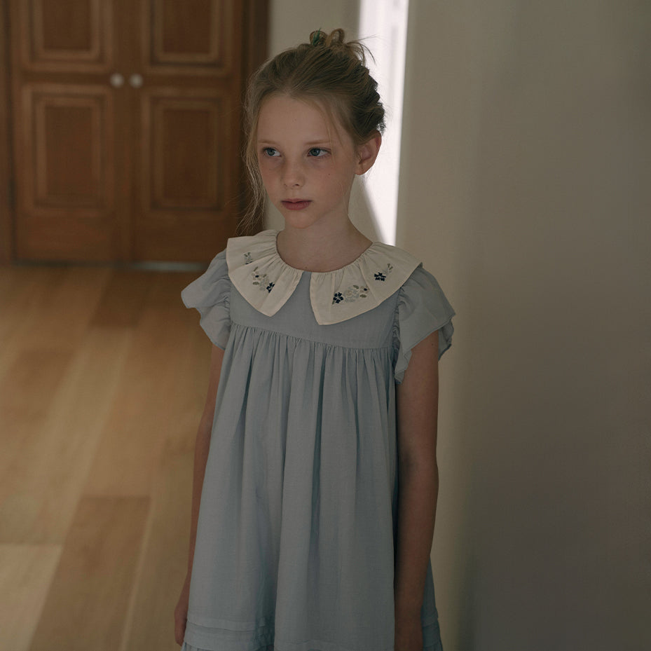 Girls Blue Embroidered Cotton Dress