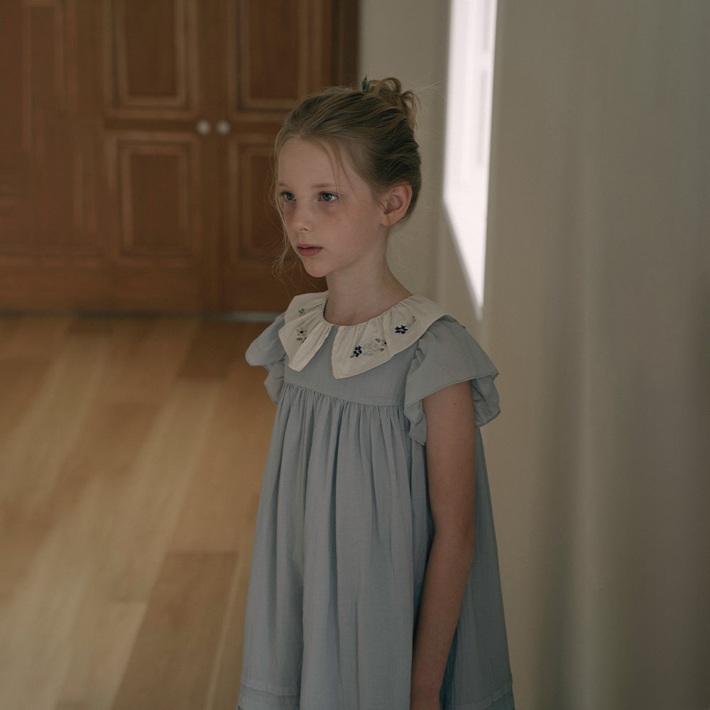 Girls Blue Embroidered Cotton Dress
