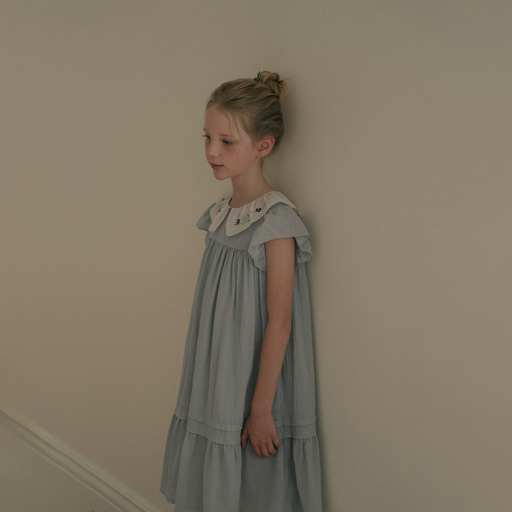 Girls Blue Embroidered Cotton Dress