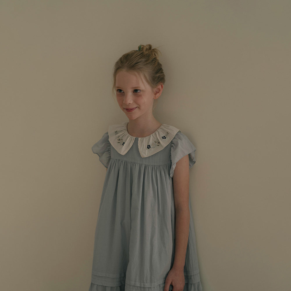 Girls Blue Embroidered Cotton Dress