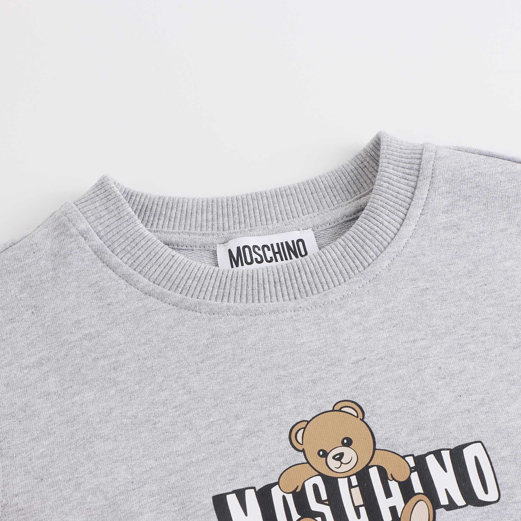 Boys & Girls Grey Bear Printed Cotton Sweatshirt