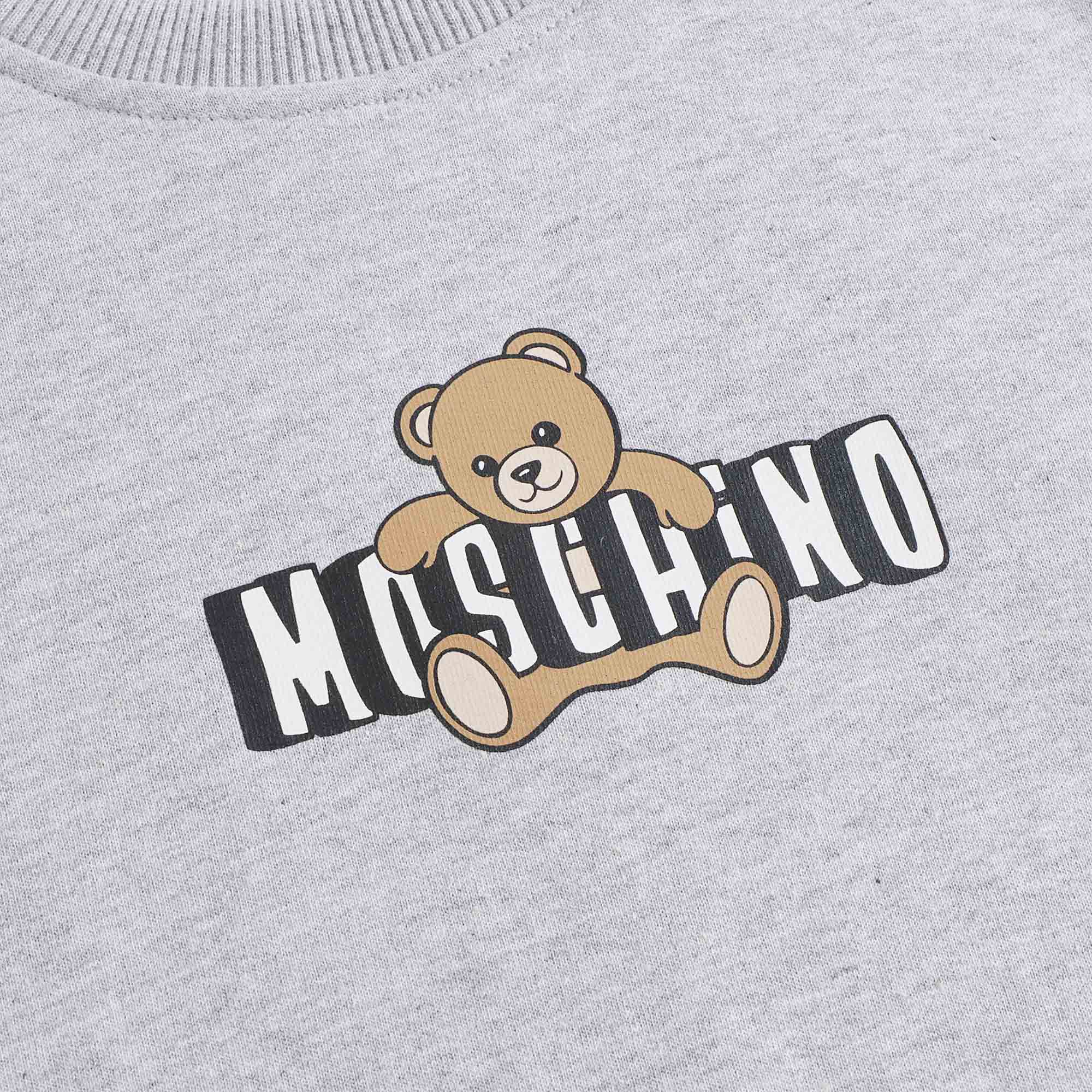 Boys & Girls Grey Bear Printed Cotton Sweatshirt